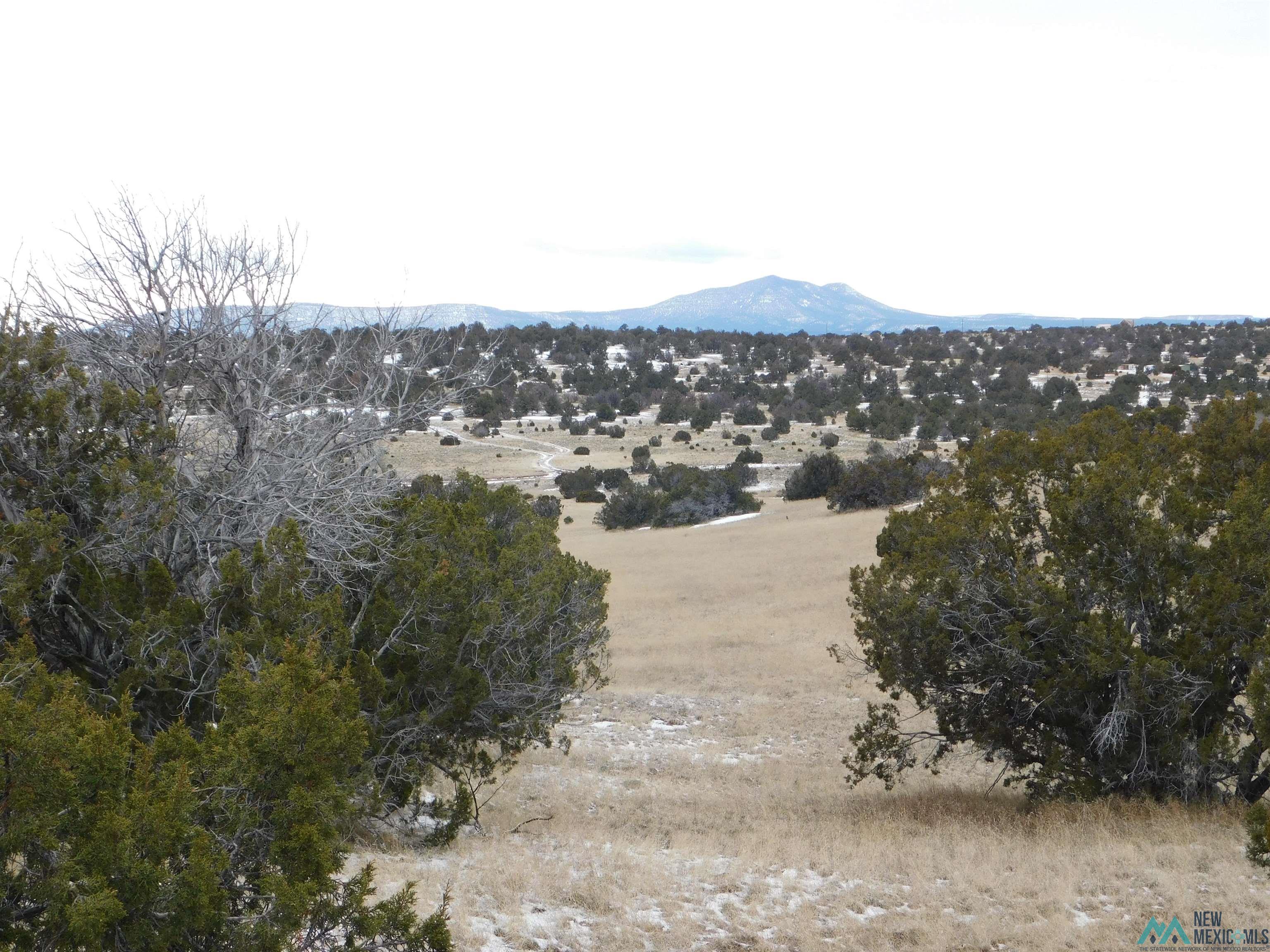 69 Bronco Blvd, Quemado, New Mexico image 12