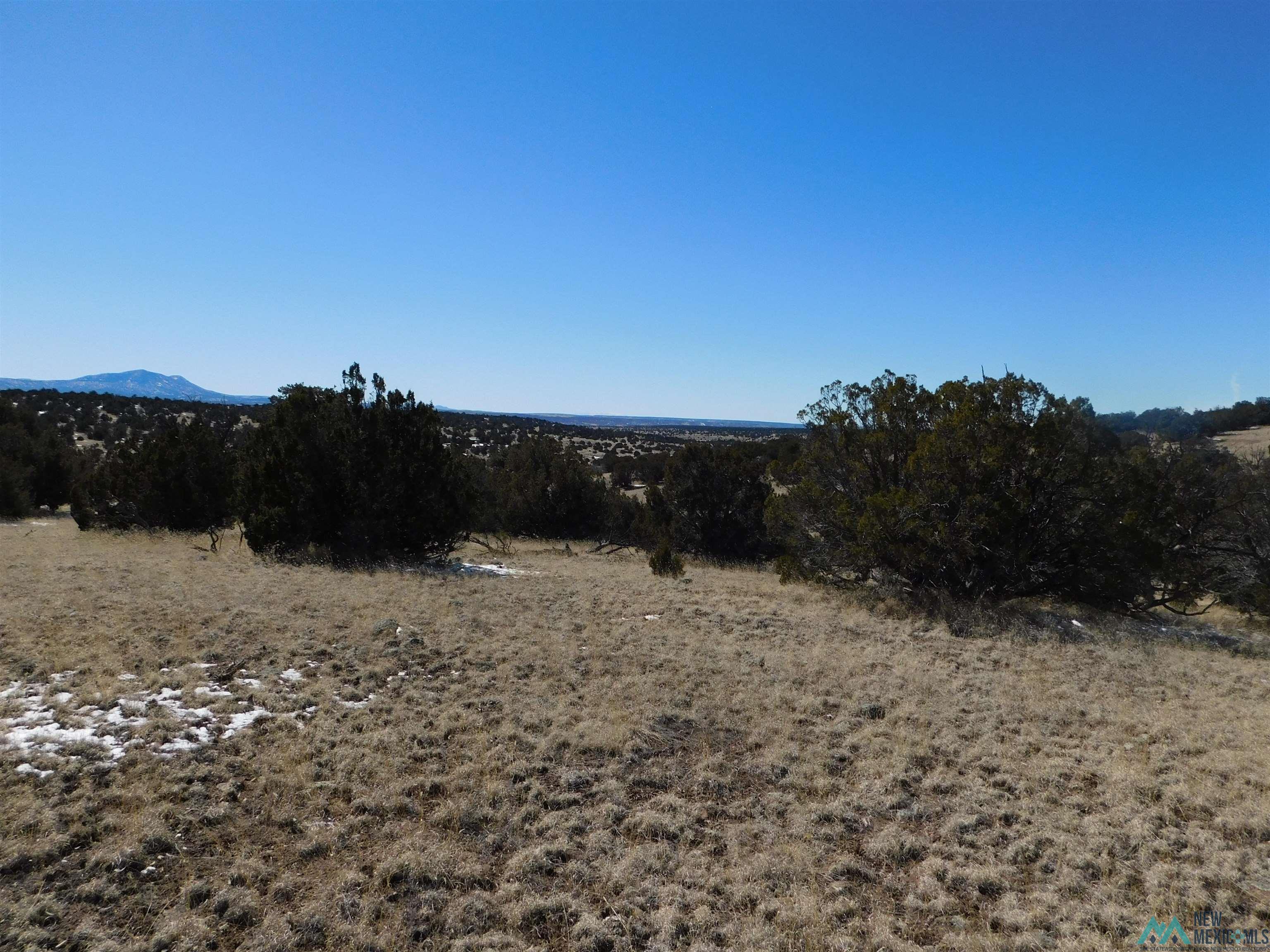 69 Bronco Blvd, Quemado, New Mexico image 8