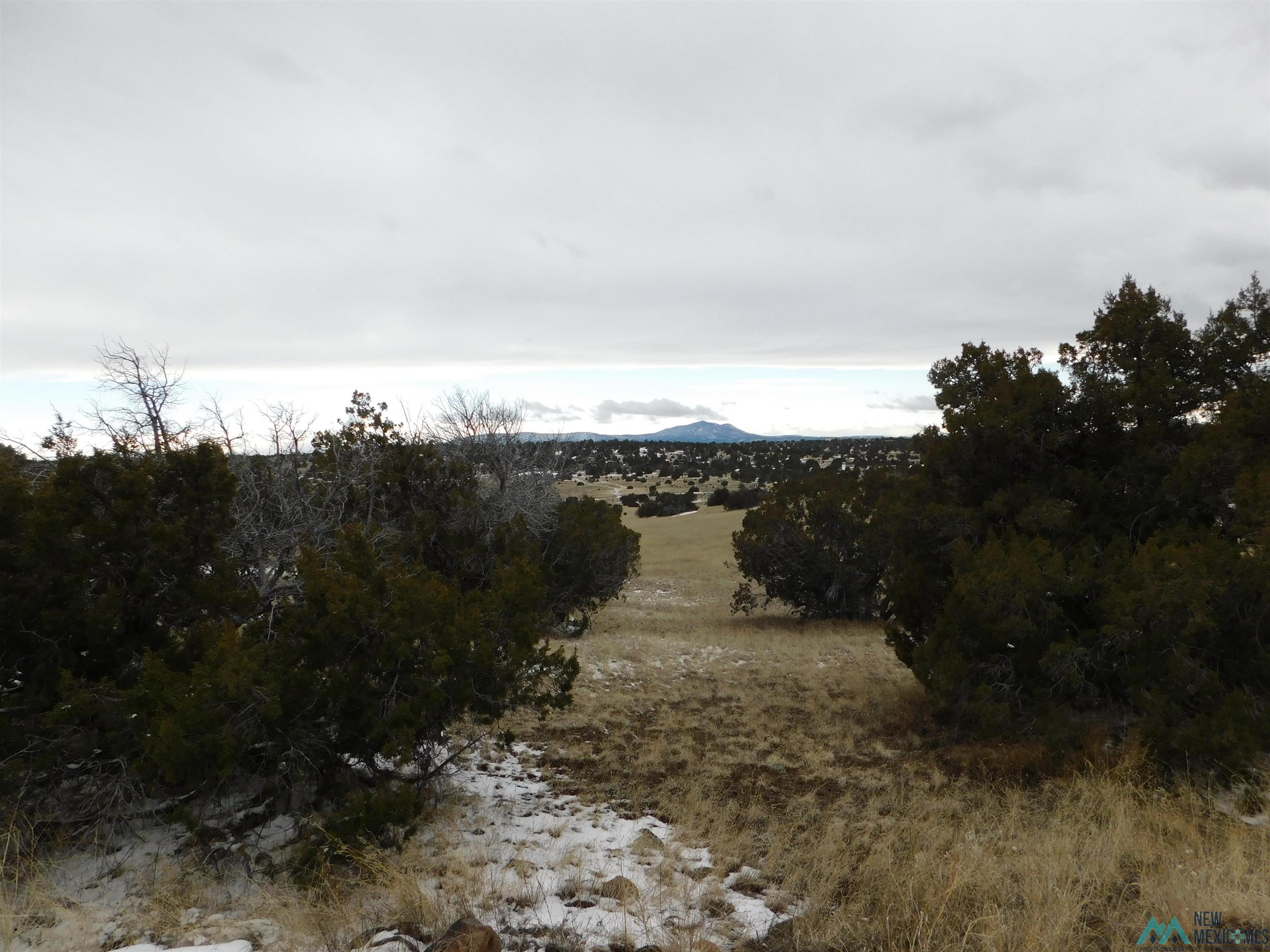 69 Bronco Blvd, Quemado, New Mexico image 11