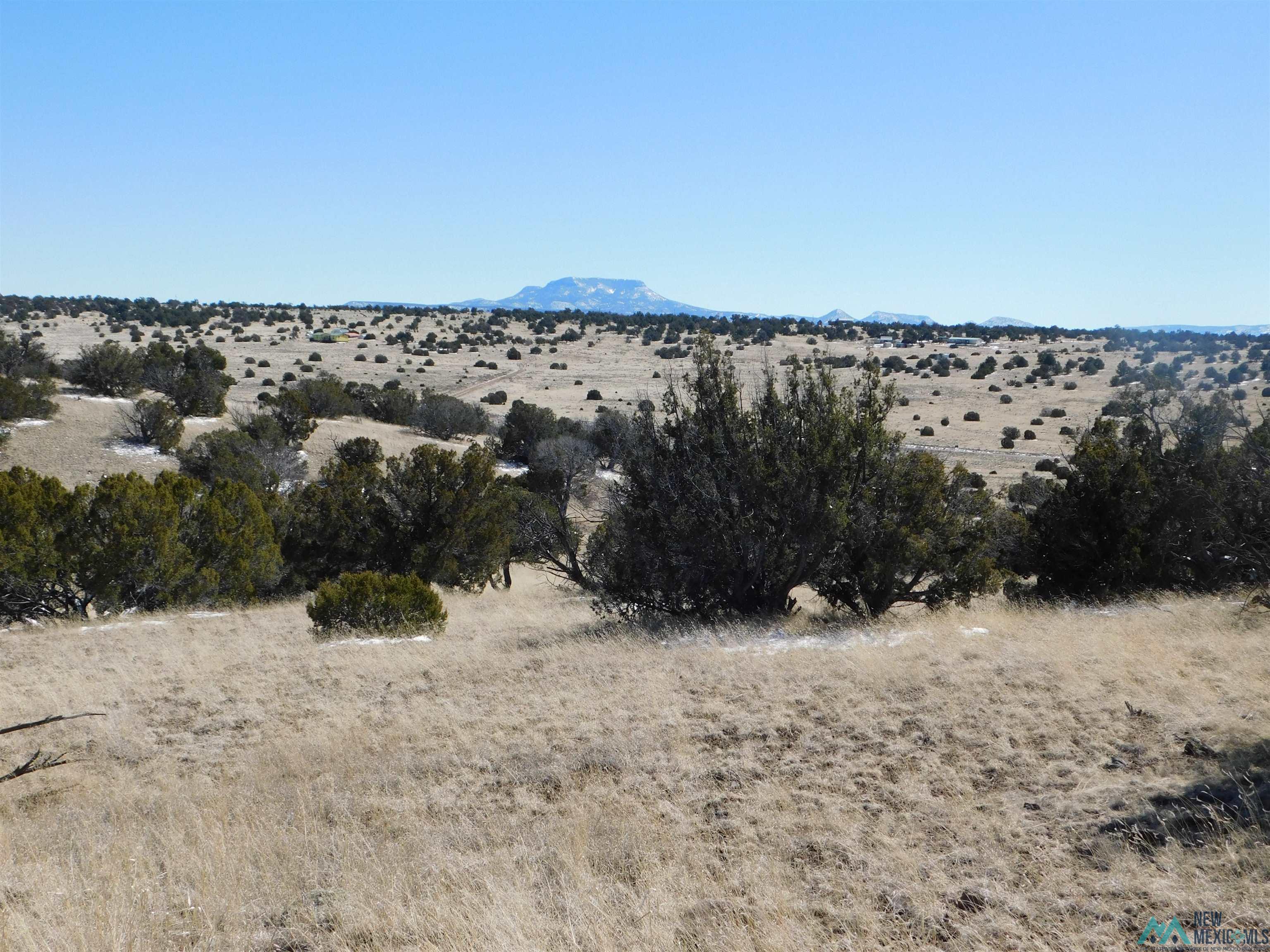 69 Bronco Blvd, Quemado, New Mexico image 1