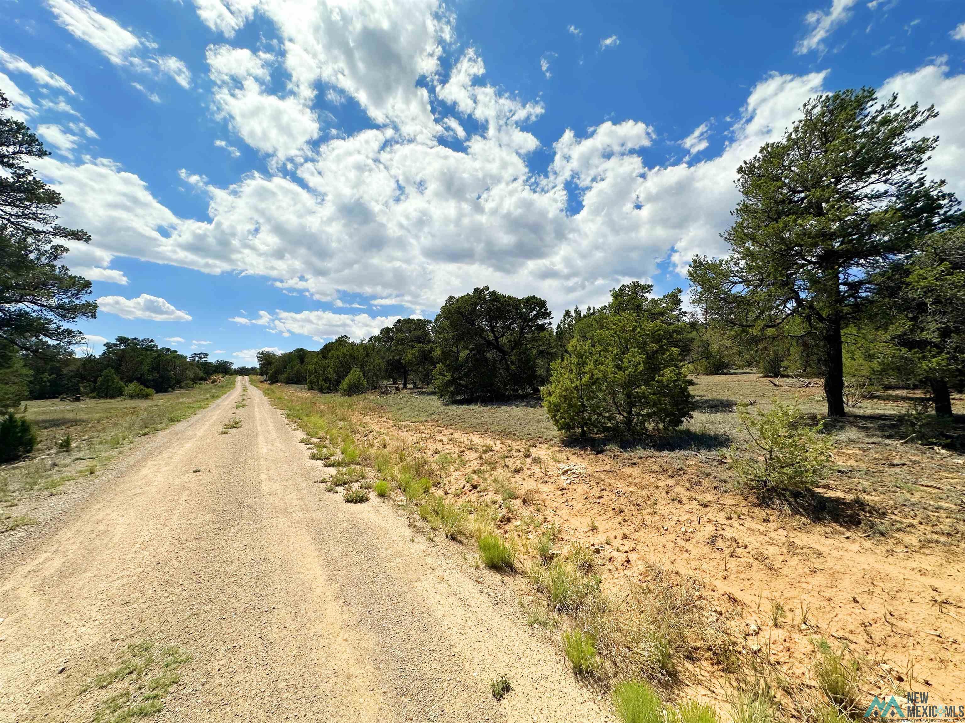 Lot 7 Tierra De Dios, Rowe, New Mexico image 2