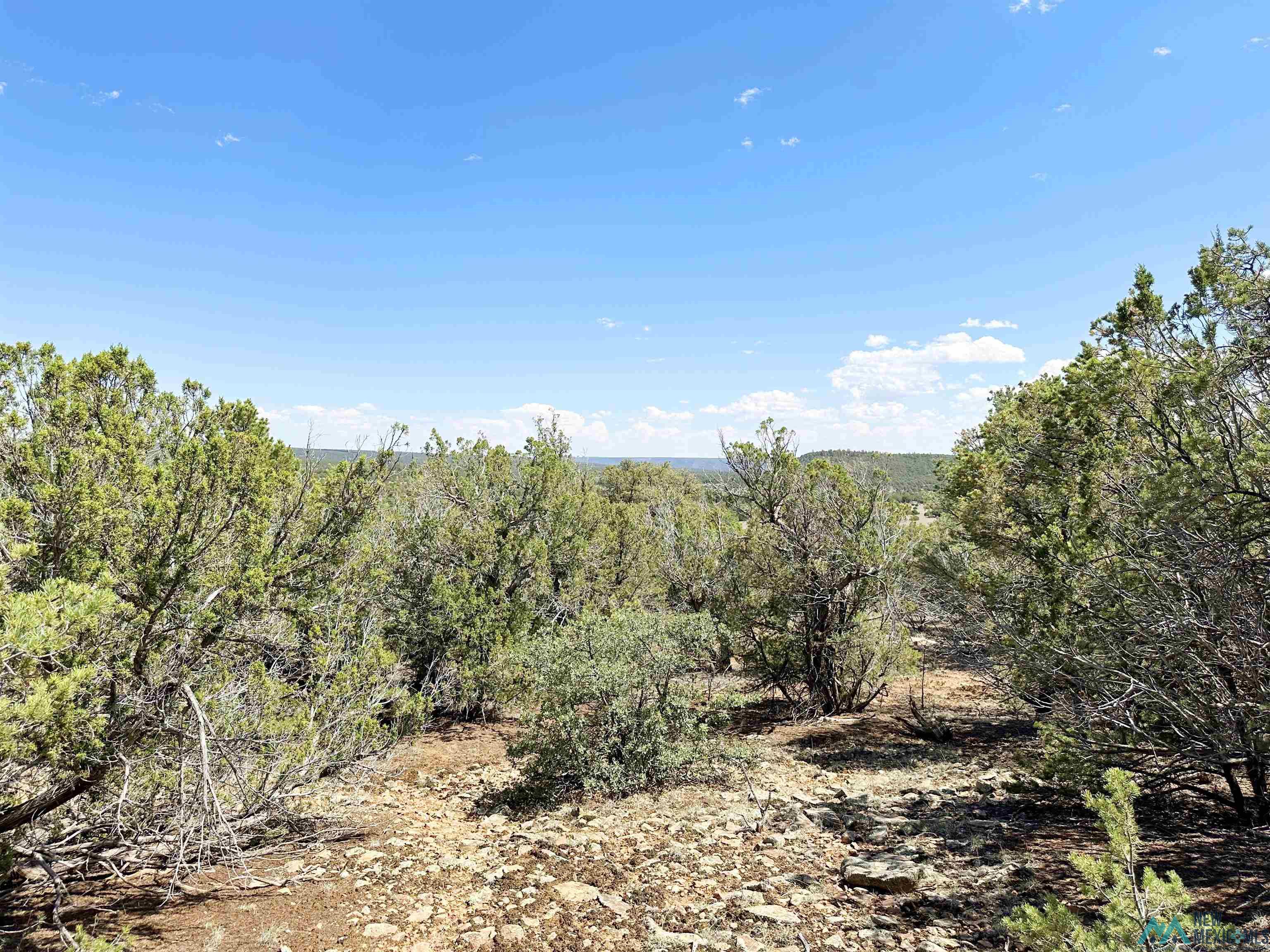 Lot 7 Tierra De Dios, Rowe, New Mexico image 7