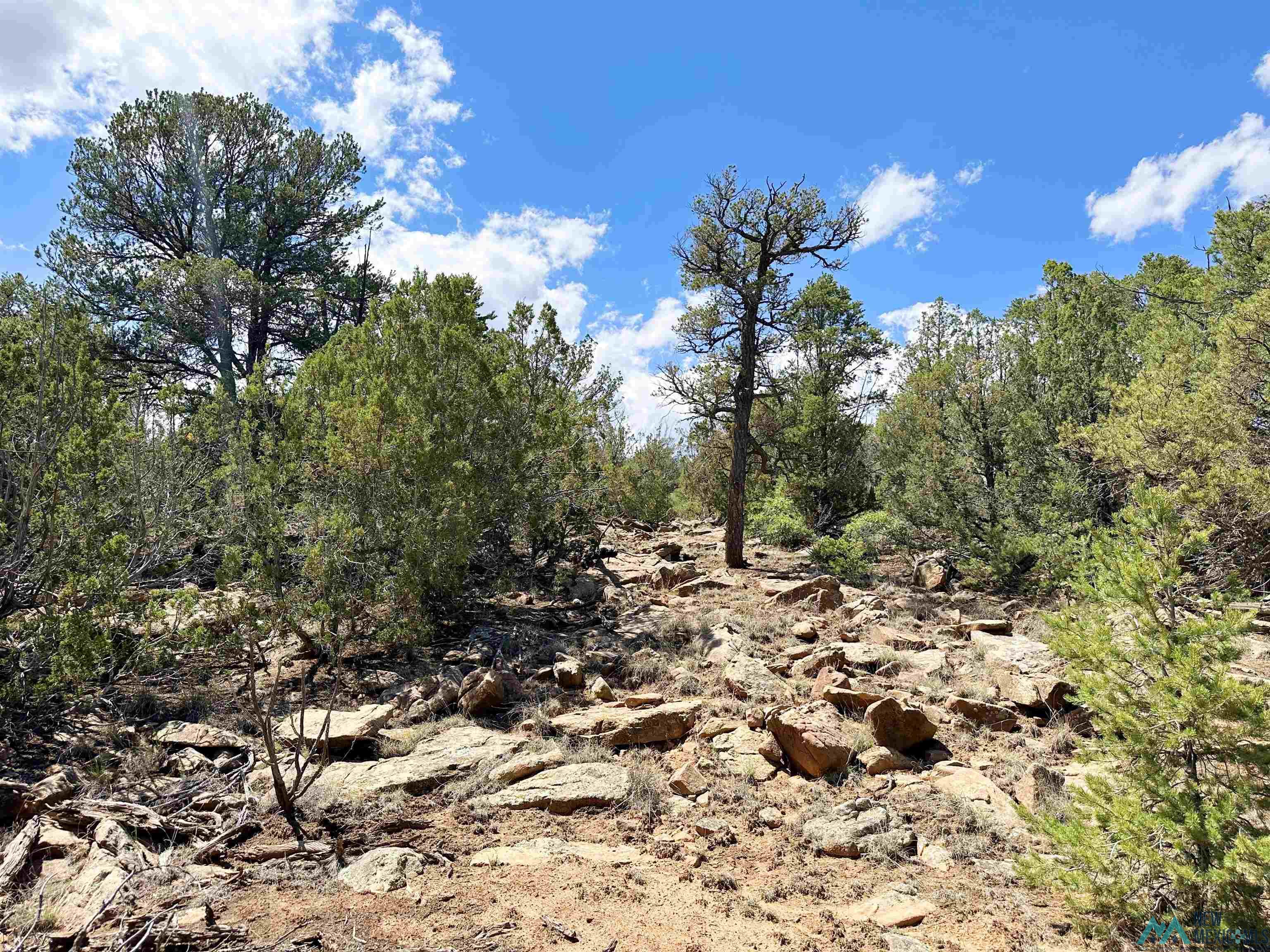 Lot 7 Tierra De Dios, Rowe, New Mexico image 6