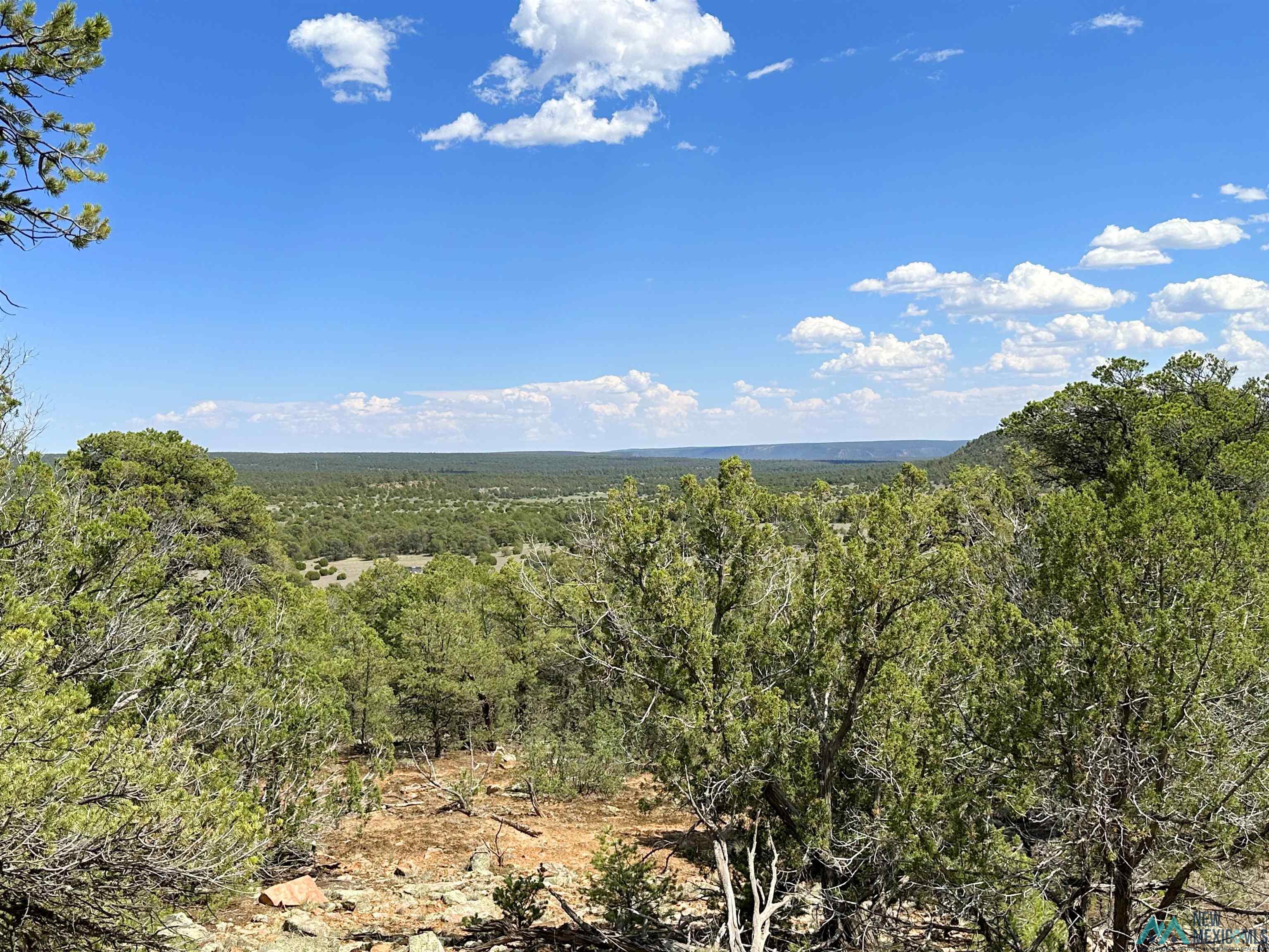 Lot 7 Tierra De Dios, Rowe, New Mexico image 10