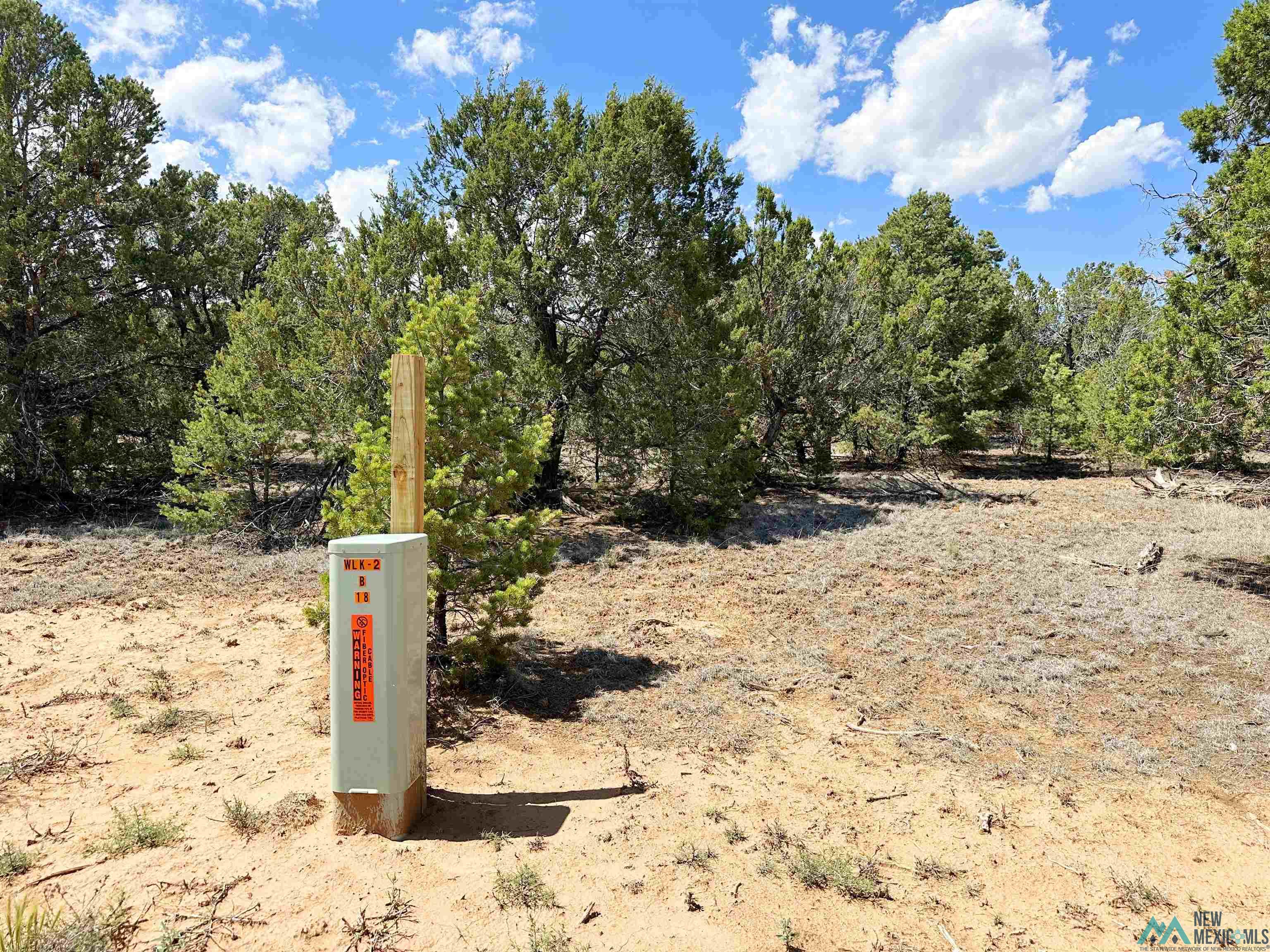 Lot 7 Tierra De Dios, Rowe, New Mexico image 4