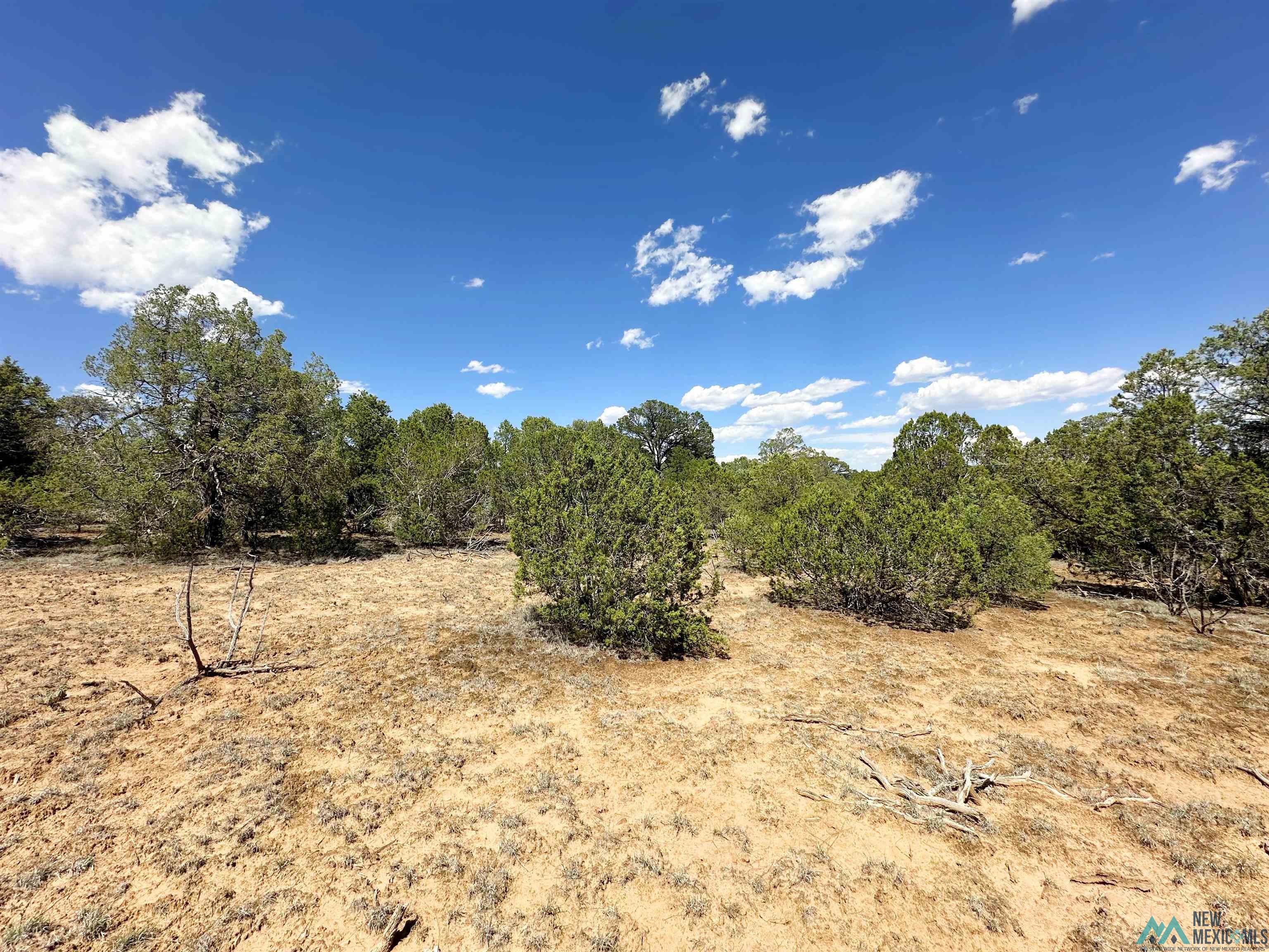 Lot 7 Tierra De Dios, Rowe, New Mexico image 5