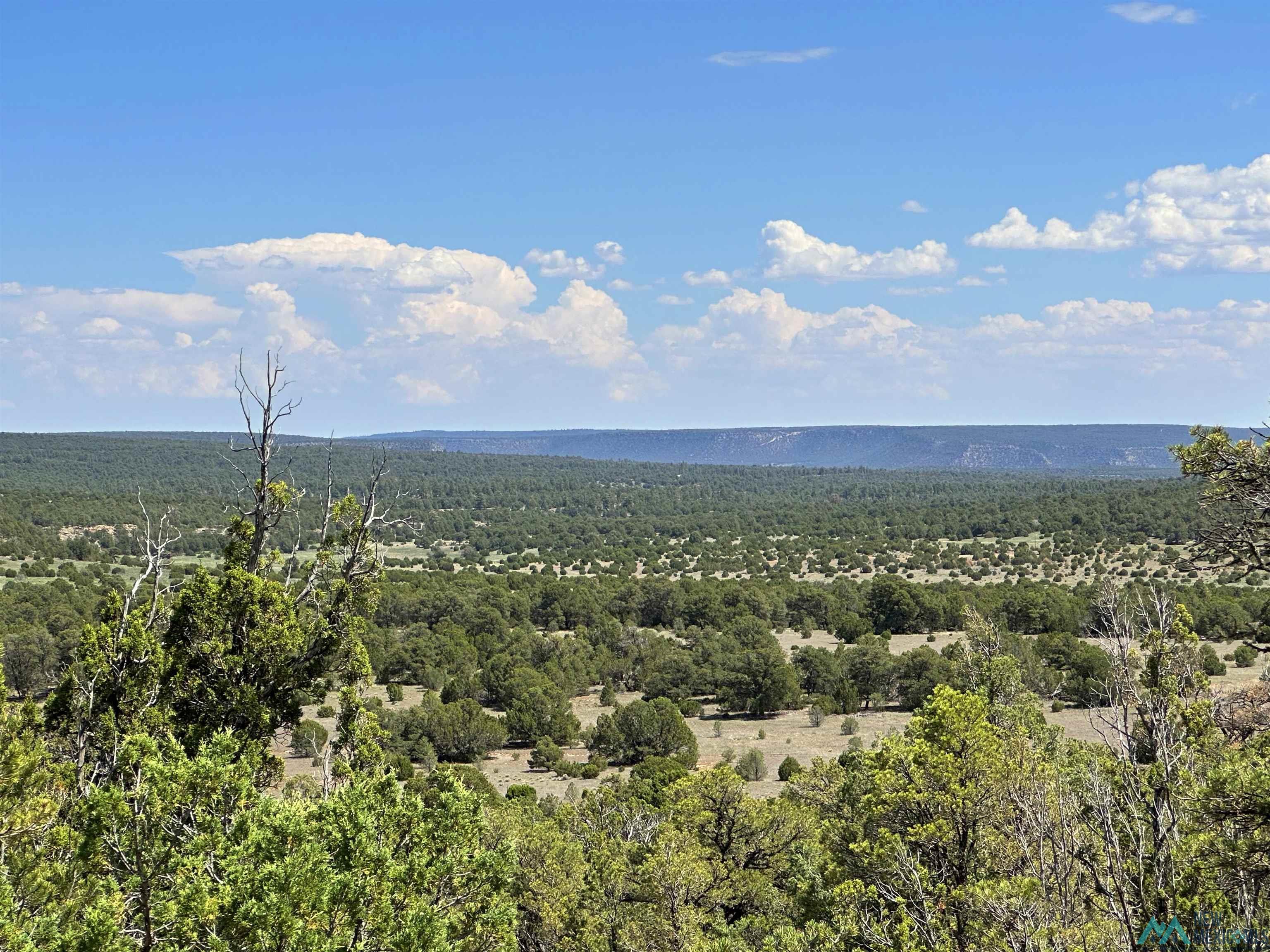 Lot 7 Tierra De Dios, Rowe, New Mexico image 1