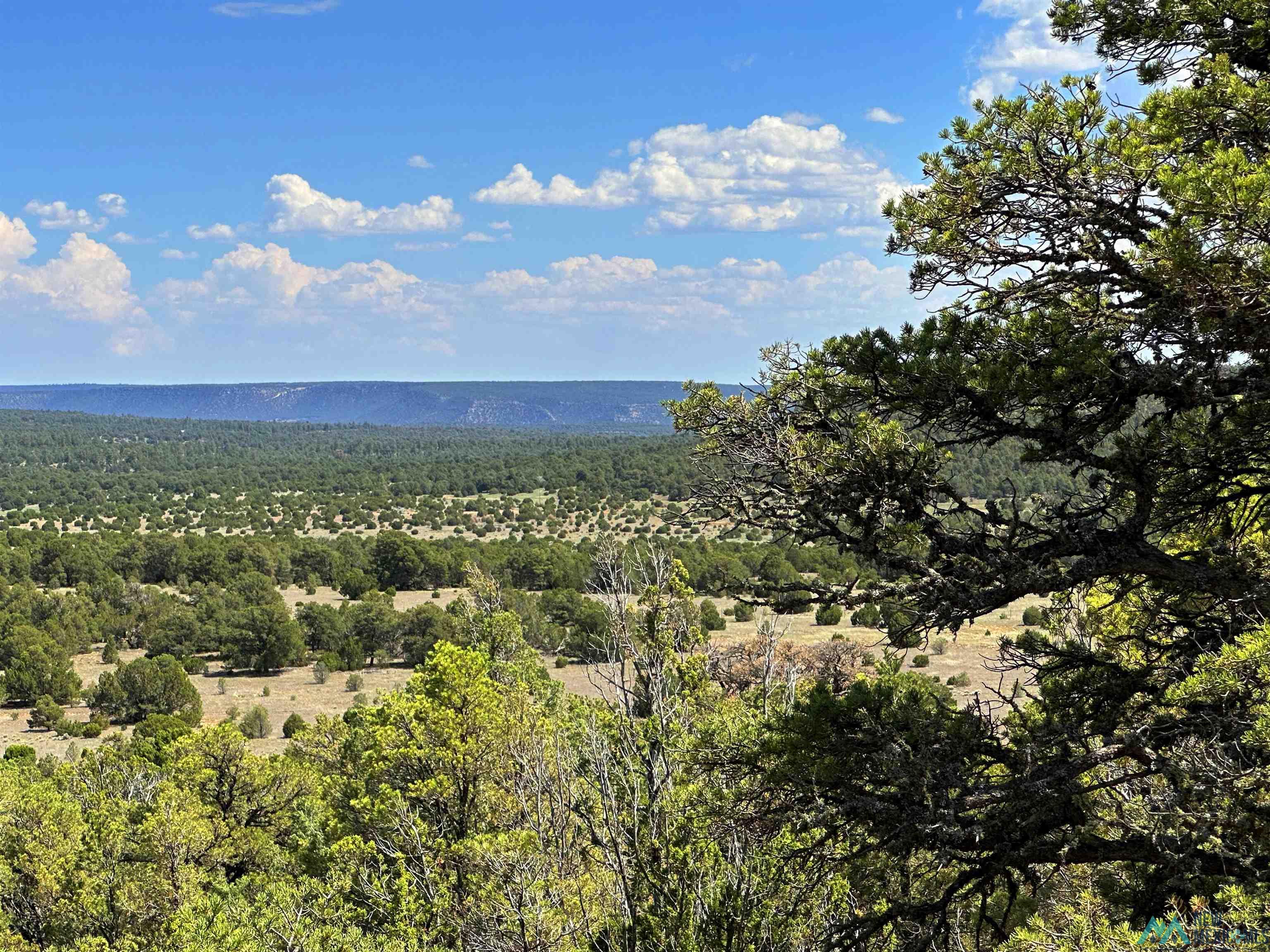 Lot 7 Tierra De Dios, Rowe, New Mexico image 9