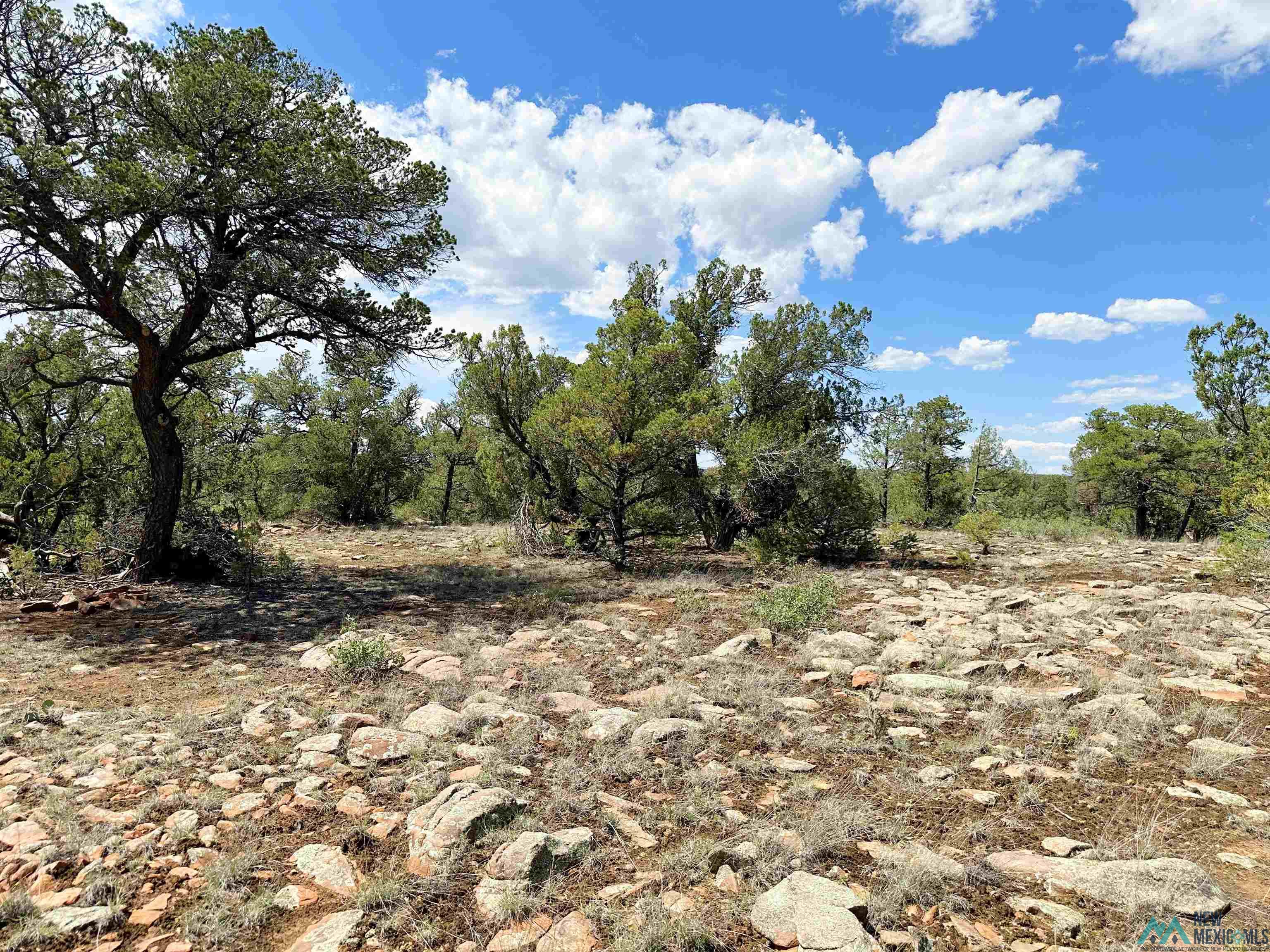 Lot 7 Tierra De Dios, Rowe, New Mexico image 8