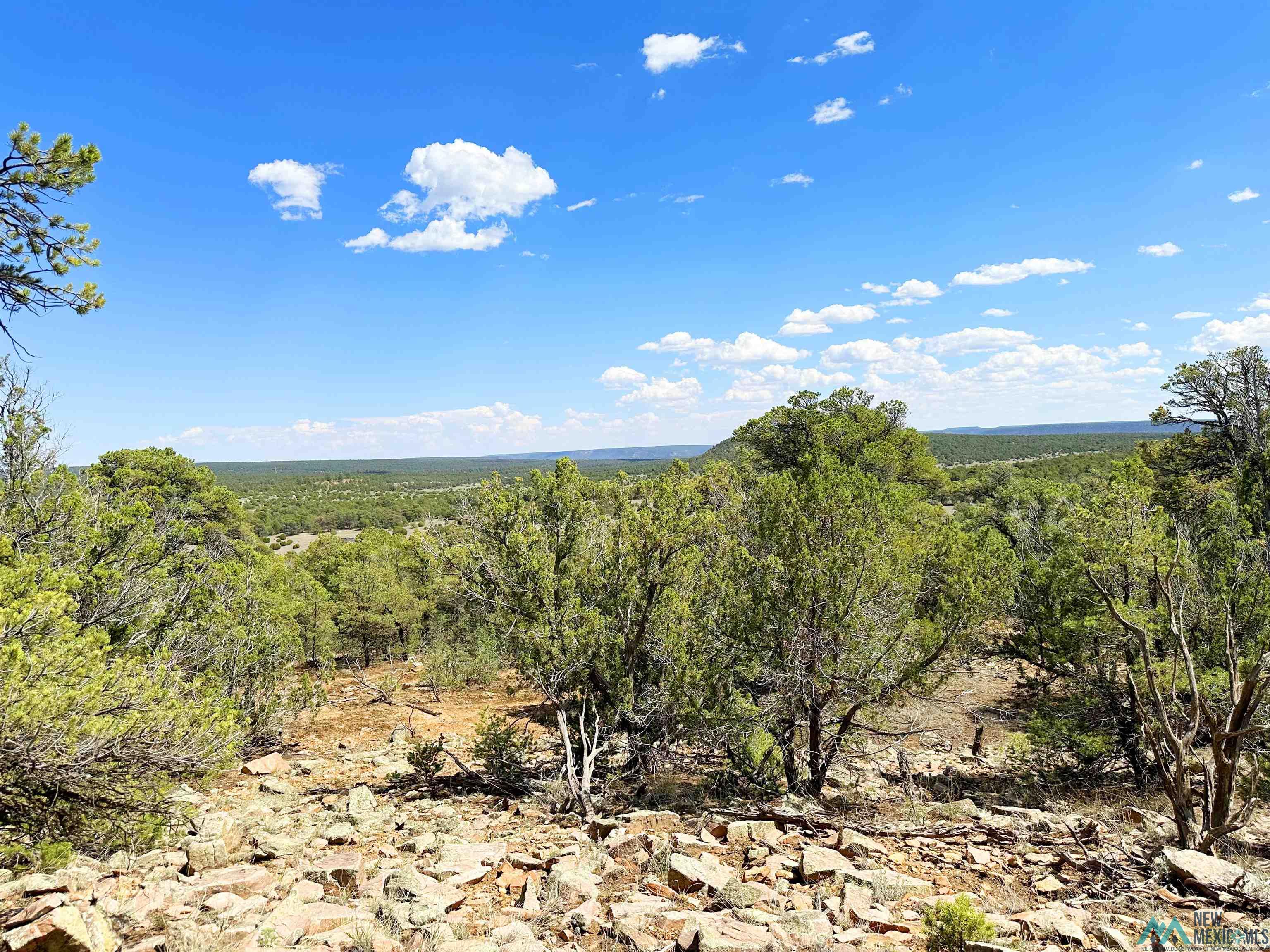 Lot 7 Tierra De Dios, Rowe, New Mexico image 3