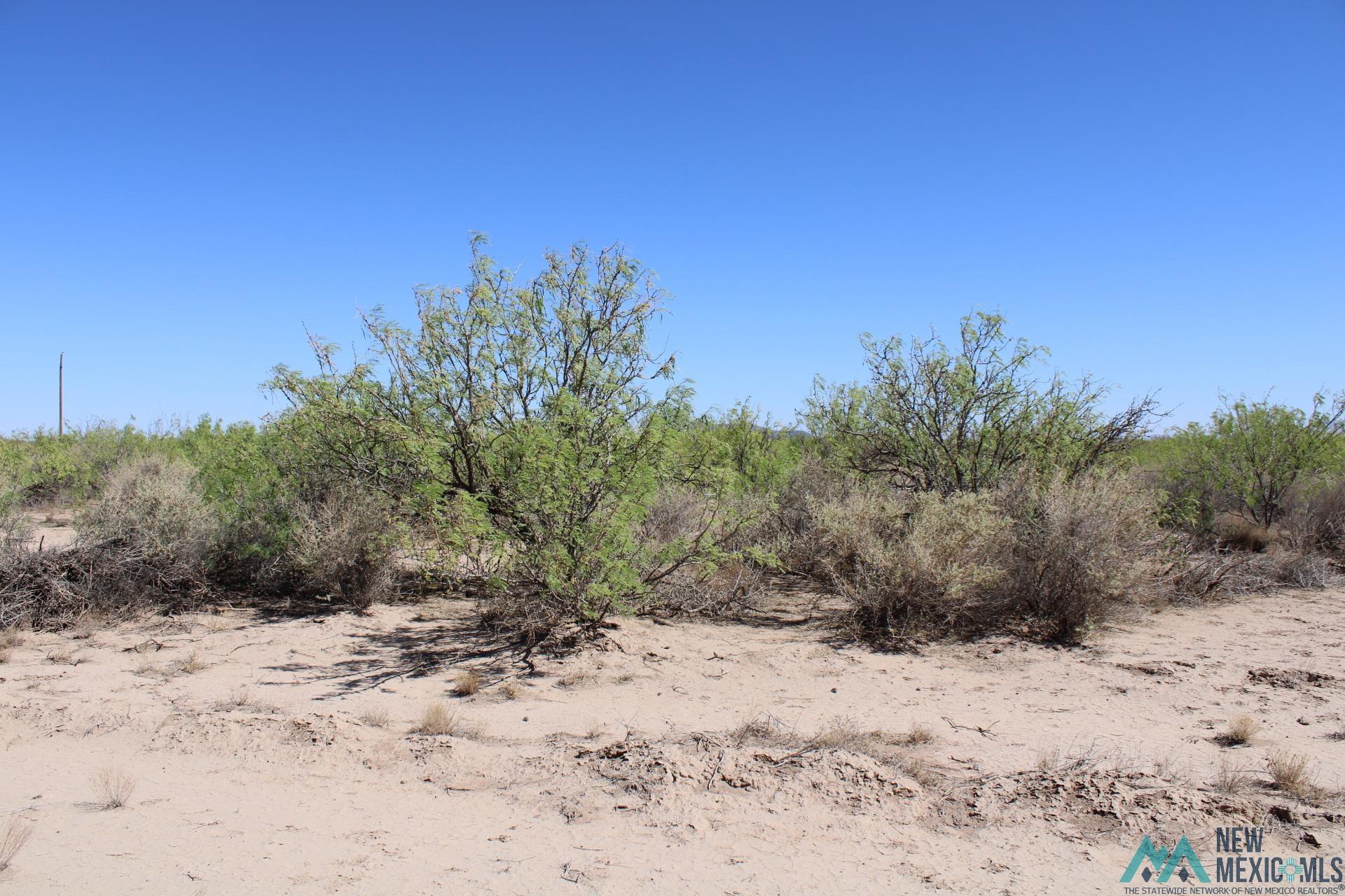 Sombra Rd Sw, Deming, New Mexico image 6