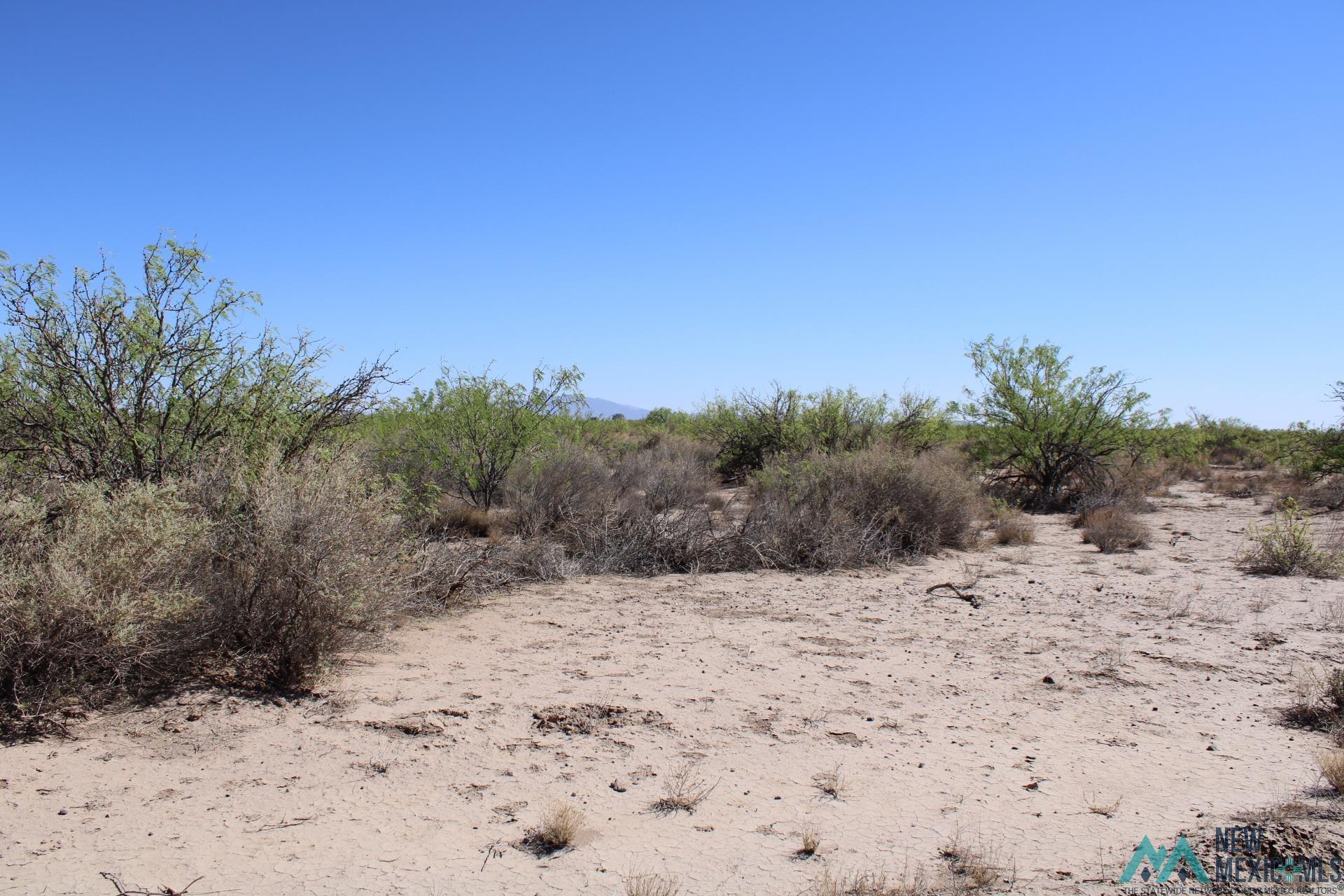 Sombra Rd Sw, Deming, New Mexico image 7