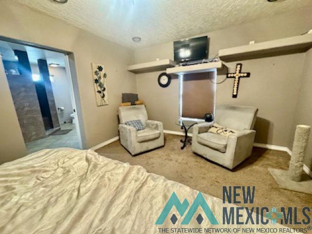 1504 Bryan Circle, Carlsbad, Texas image 12
