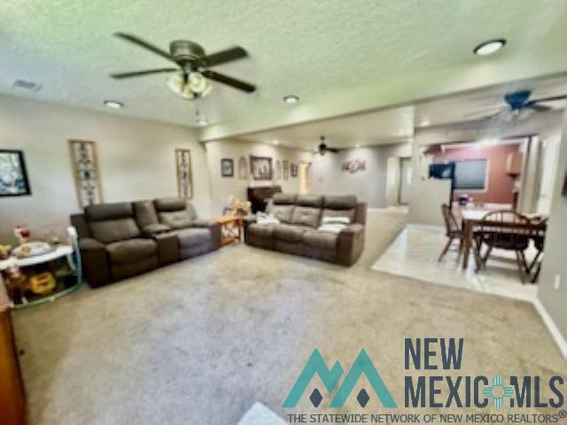 1504 Bryan Circle, Carlsbad, Texas image 10