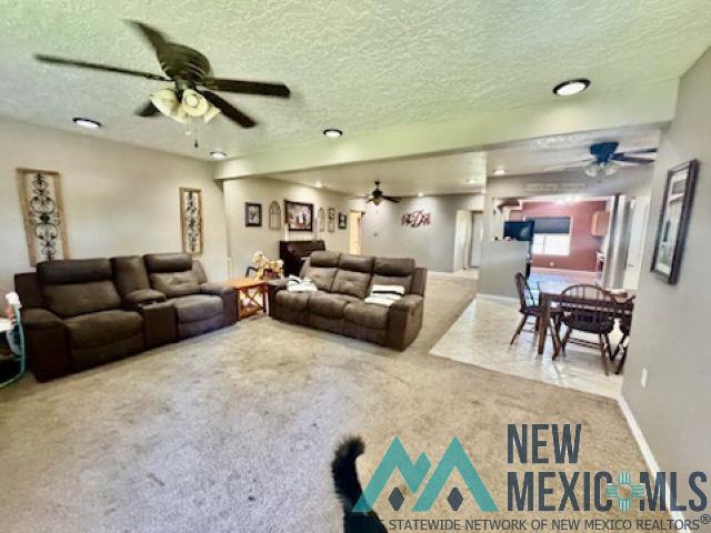 1504 Bryan Circle, Carlsbad, Texas image 5