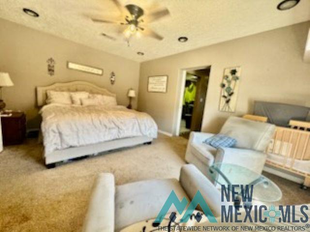 1504 Bryan Circle, Carlsbad, Texas image 11