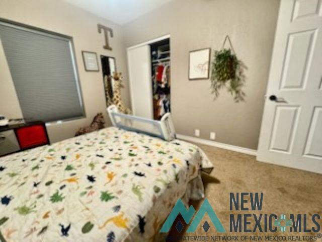 1504 Bryan Circle, Carlsbad, Texas image 20