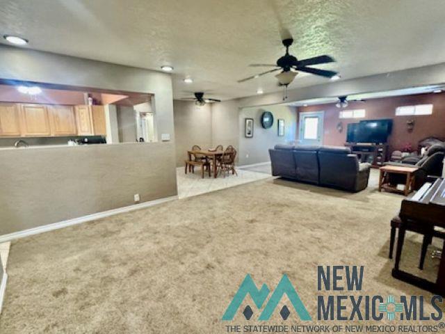 1504 Bryan Circle, Carlsbad, Texas image 4
