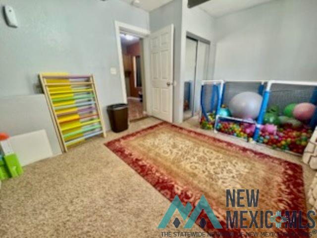 1504 Bryan Circle, Carlsbad, Texas image 24