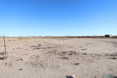 Vacant Land For Sale - 6627 Miller Road<br/> Chaves County, Dexter, NM 88230