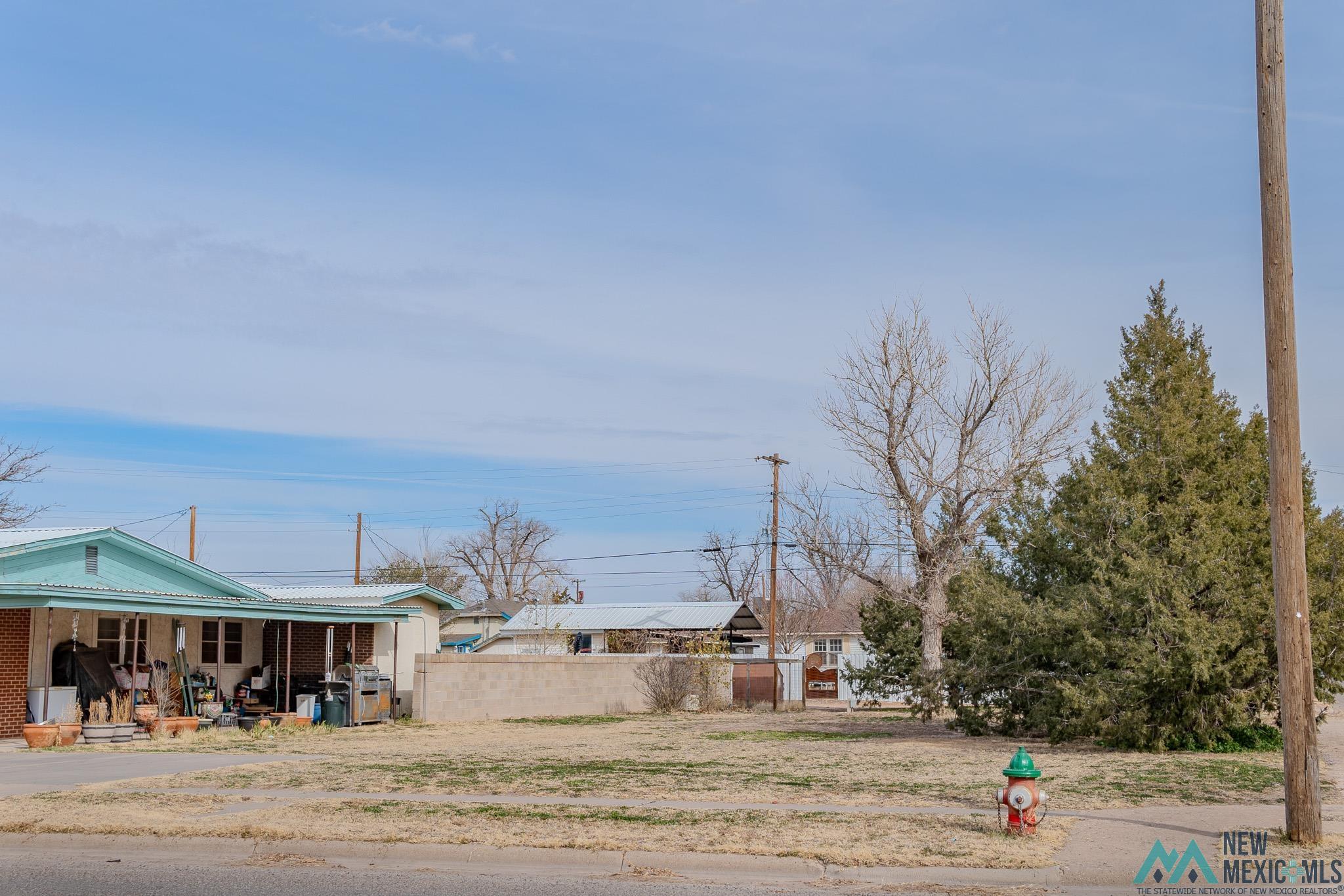 317/321 S F Avenue, Portales, New Mexico image 17