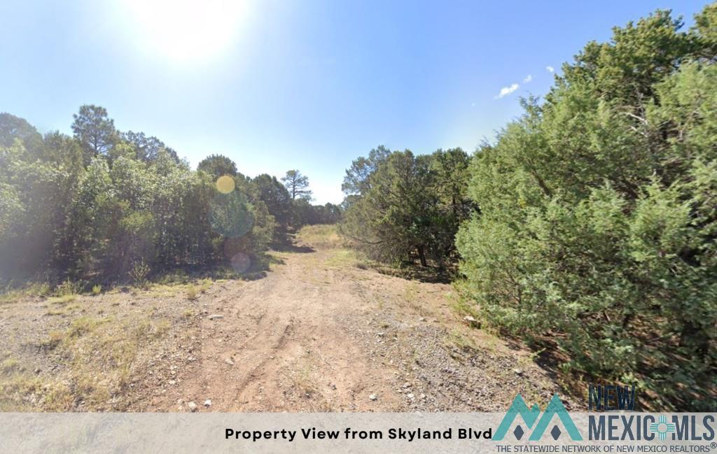 1 & 3 Skyland Boulevard, Tijeras, Texas image 19