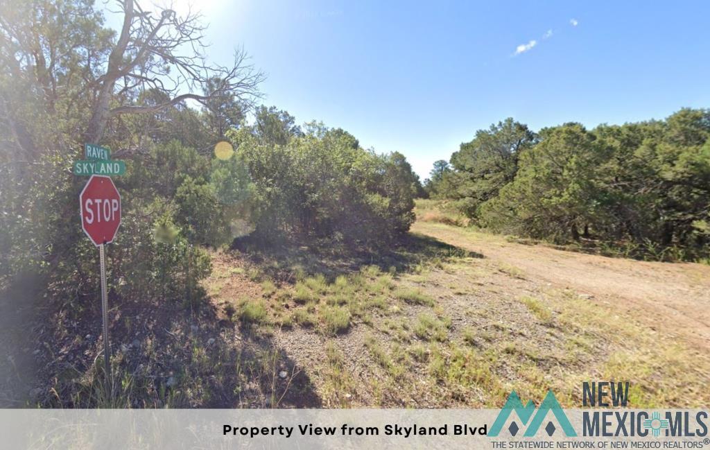 1 & 3 Skyland Boulevard, Tijeras, Texas image 17