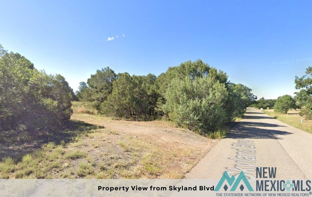 1 & 3 Skyland Boulevard, Tijeras, Texas image 18