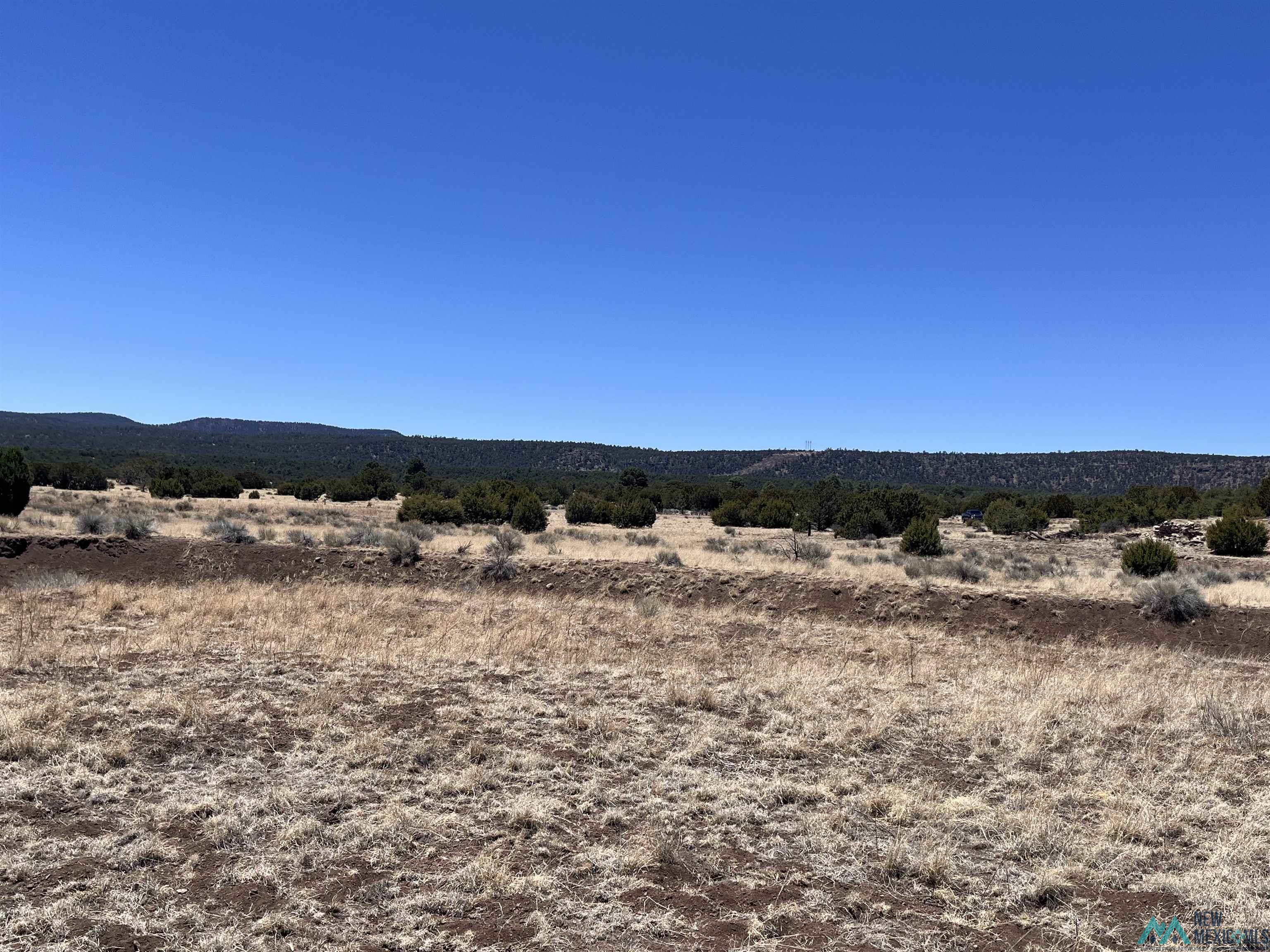 Lot 23 Lost Cabin Subdivision, Reserve, Texas image 10