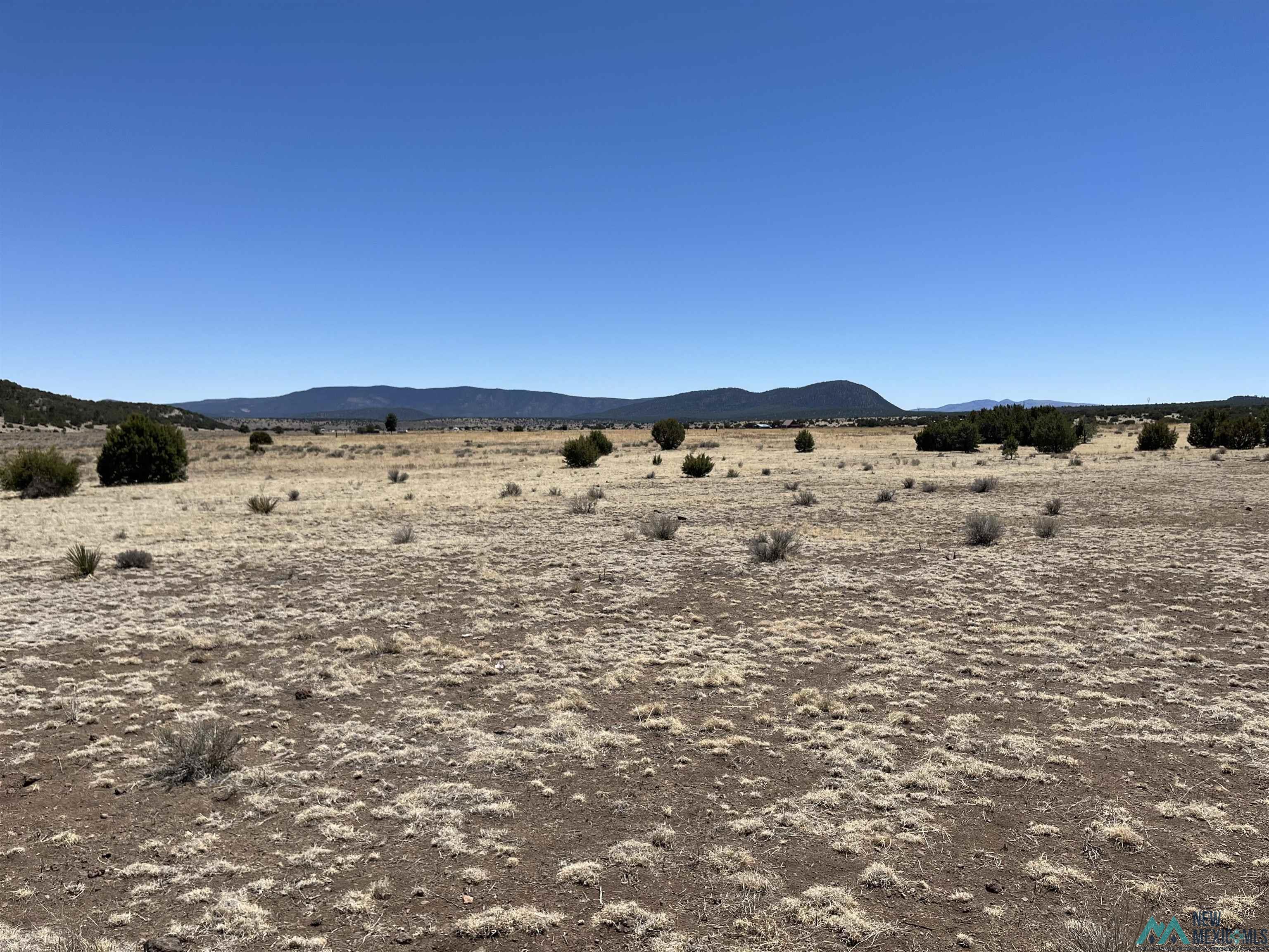 Lot 23 Lost Cabin Subdivision, Reserve, Texas image 1