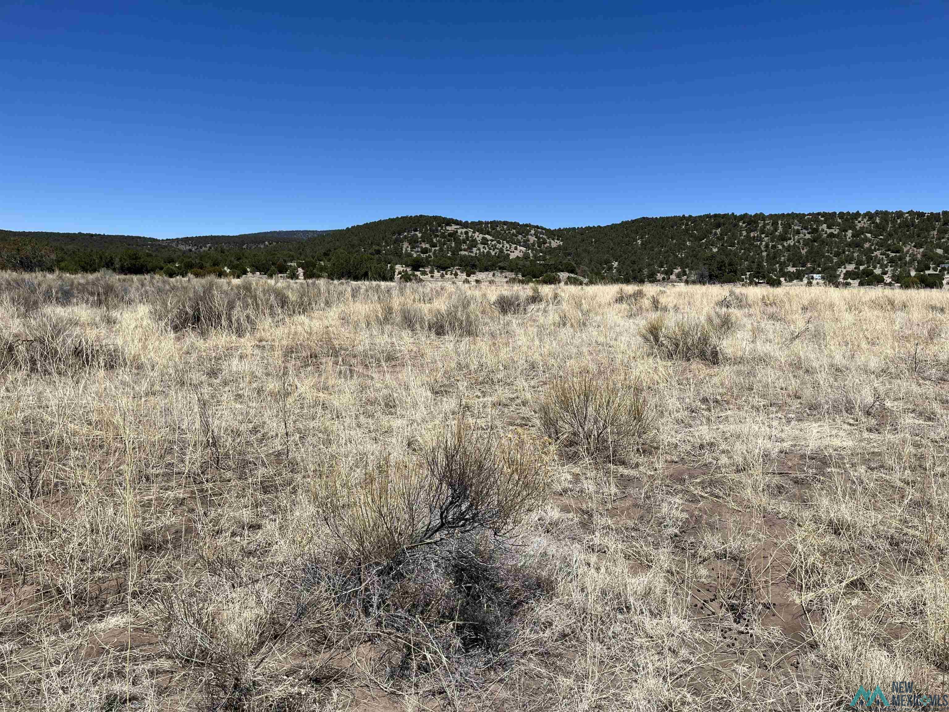 Lot 23 Lost Cabin Subdivision, Reserve, Texas image 8