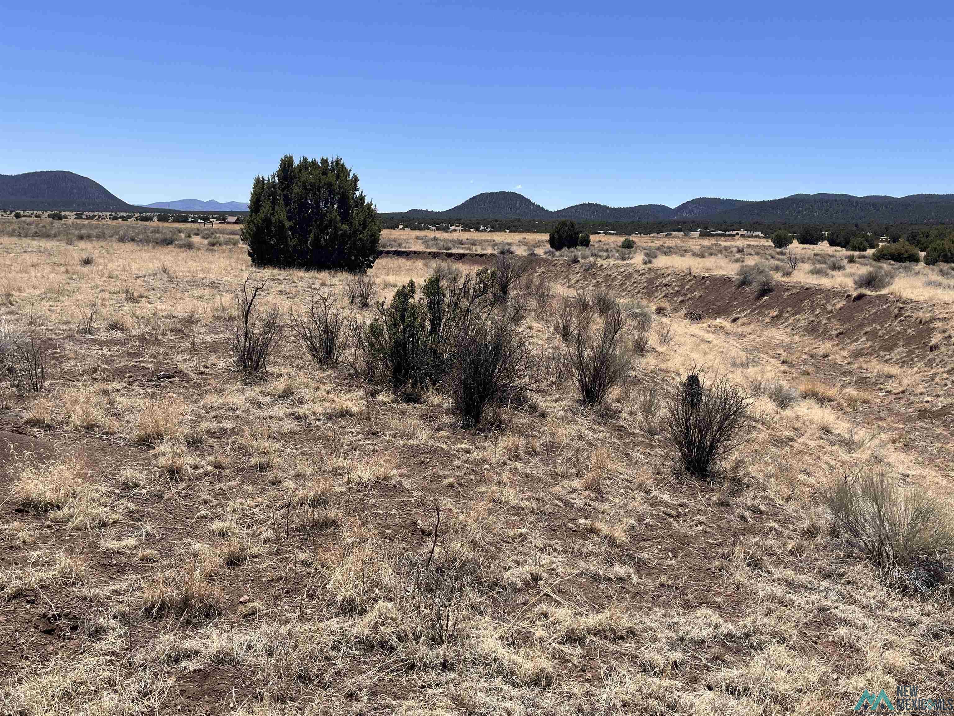 Lot 23 Lost Cabin Subdivision, Reserve, Texas image 11