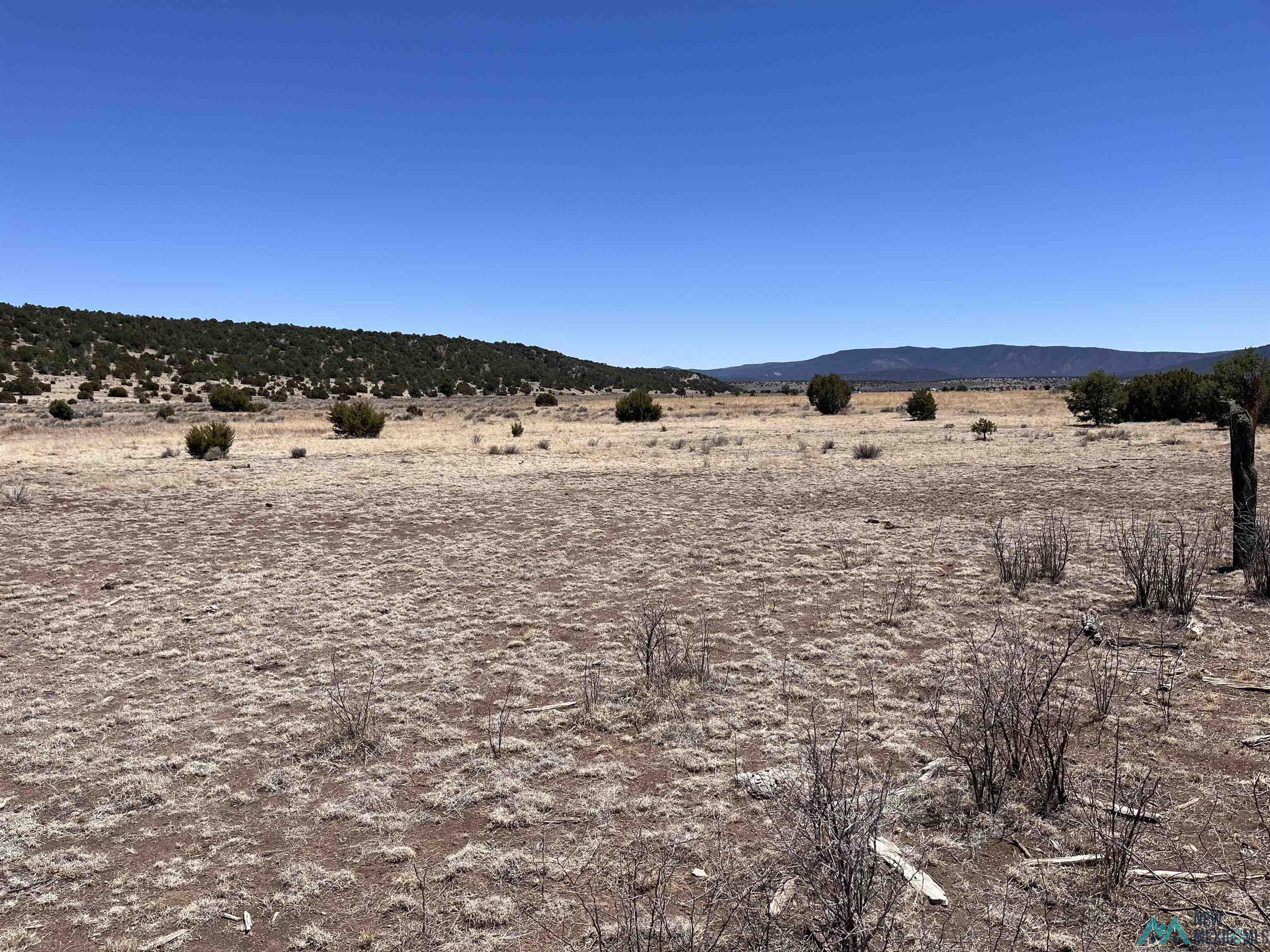 Lot 23 Lost Cabin Subdivision, Reserve, Texas image 3