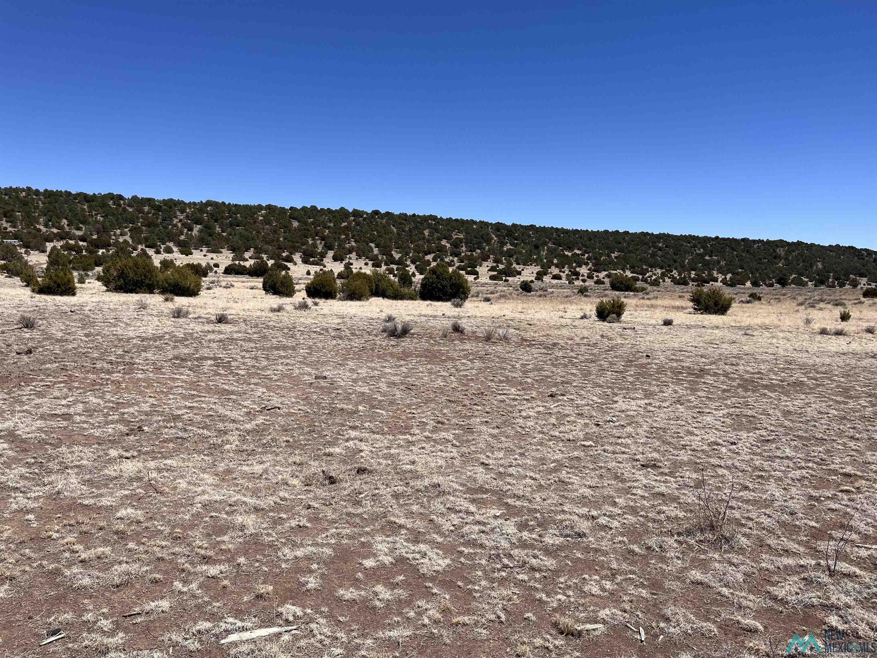 Lot 23 Lost Cabin Subdivision, Reserve, Texas image 4