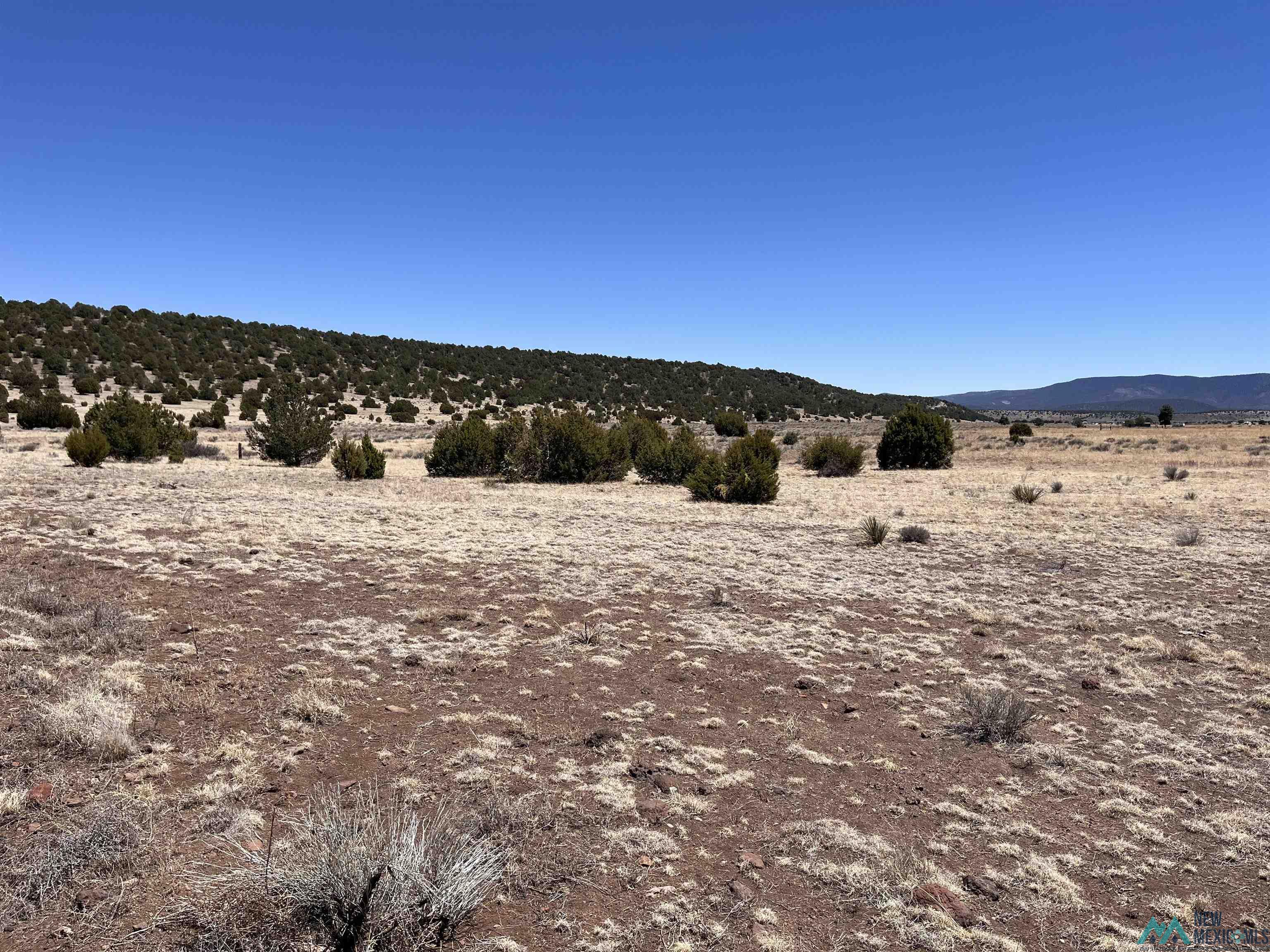 Lot 23 Lost Cabin Subdivision, Reserve, Texas image 2