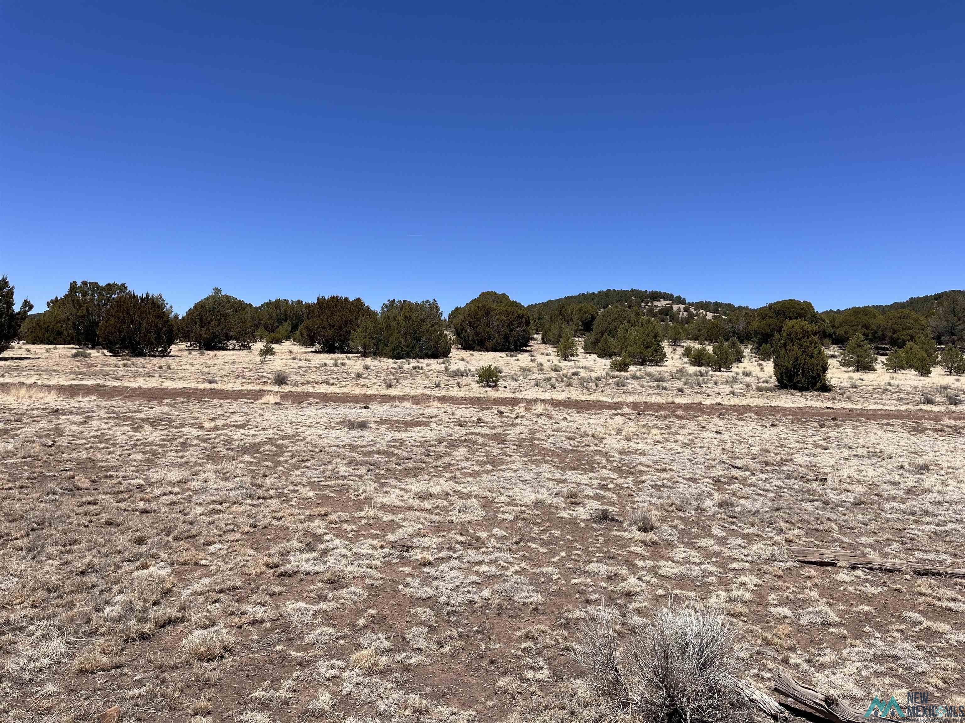 Lot 23 Lost Cabin Subdivision, Reserve, Texas image 5