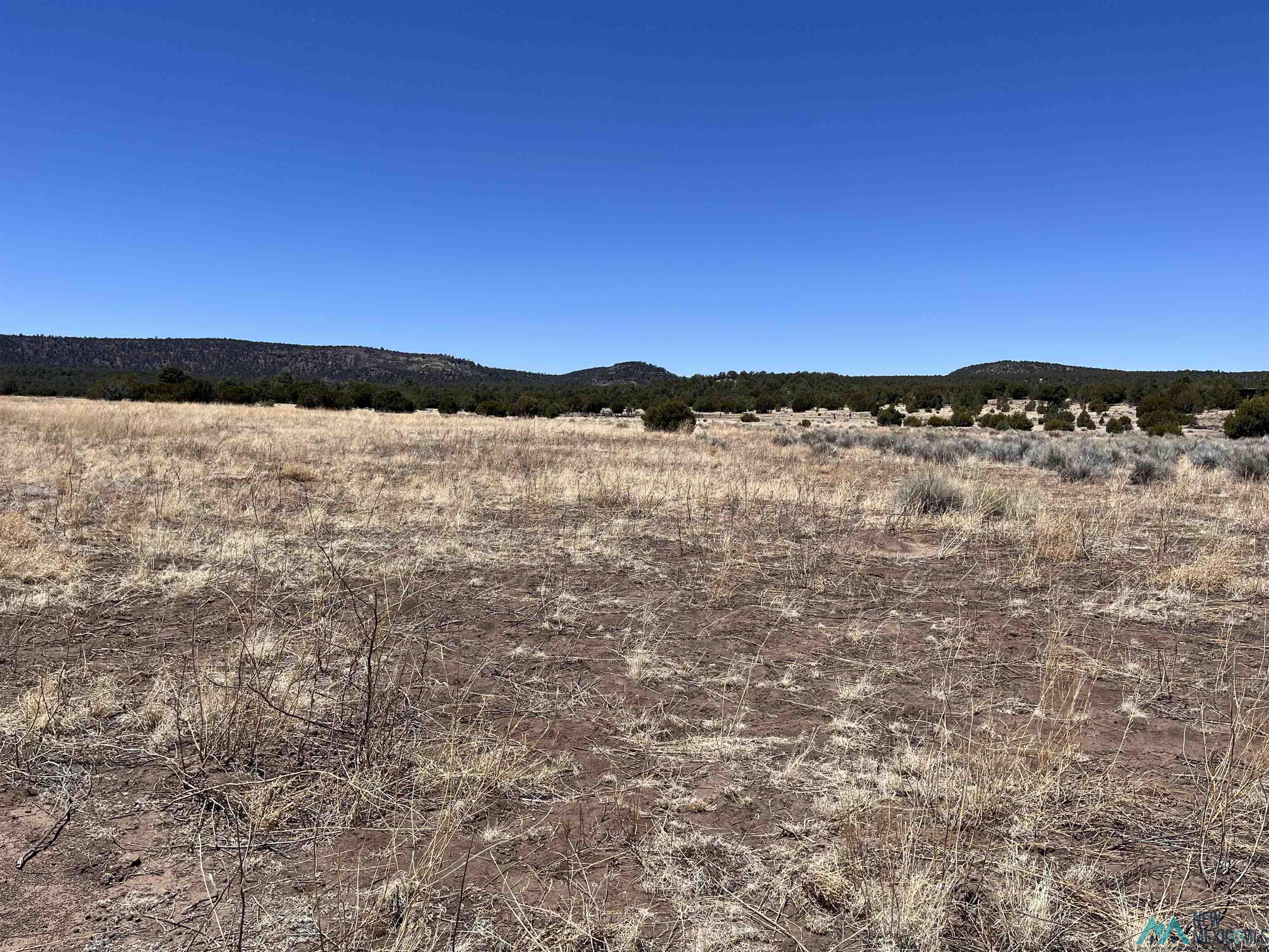 Lot 23 Lost Cabin Subdivision, Reserve, Texas image 9