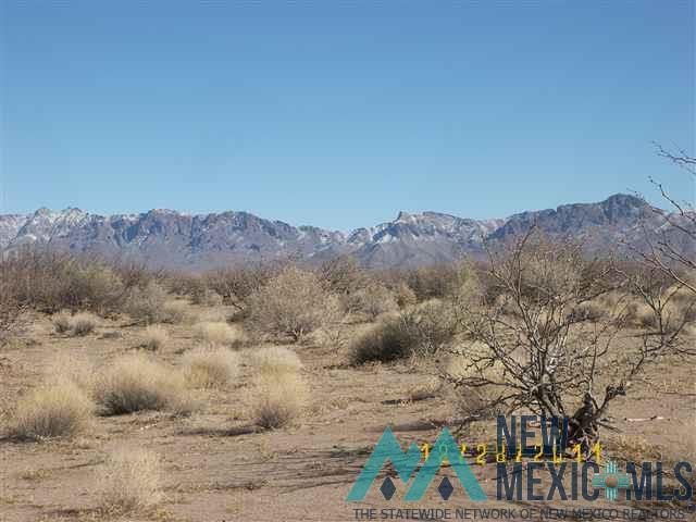 24153 Frontier Ranchos Unit 3 Bk 6 Lts 4,6,19,20,21 Lane, Deming, Texas image 1