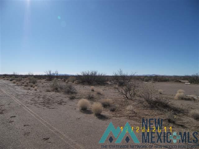 24153 Frontier Ranchos Unit 3 Bk 6 Lts 4,6,19,20,21 Lane, Deming, Texas image 6