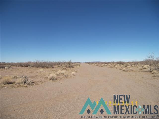 24153 Frontier Ranchos Unit 3 Bk 6 Lts 4,6,19,20,21 Lane, Deming, Texas image 4