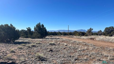Vacant Land For Sale - TBD Navajo Road<br/> Catron County, Quemado, NM 87829