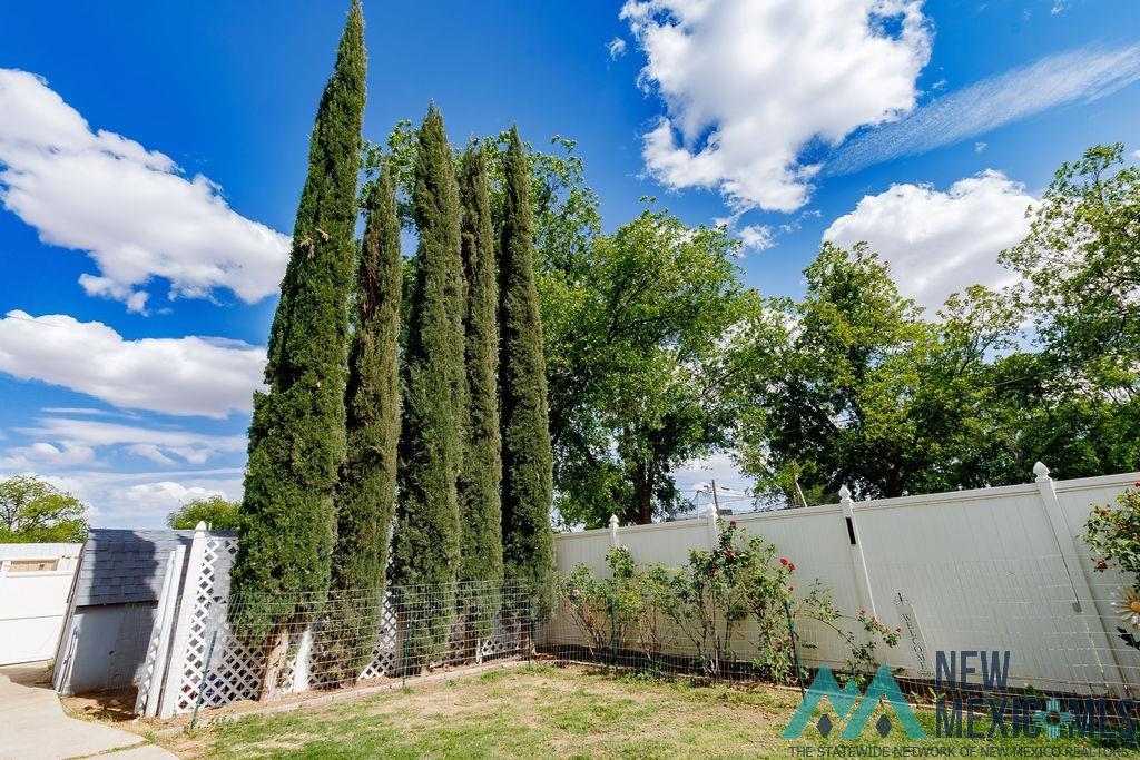 930 N Halagueno Street, Carlsbad, Texas image 31