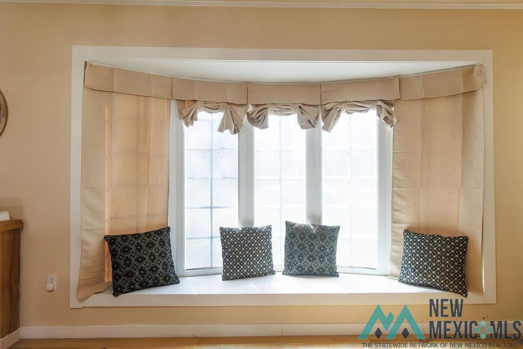 930 N Halagueno Street, Carlsbad, Texas image 3