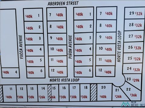 Vacant Land For Sale - BLK 1 LOT 23 Norte Loop<br/> Chaves County, Hagerman, NM 88232