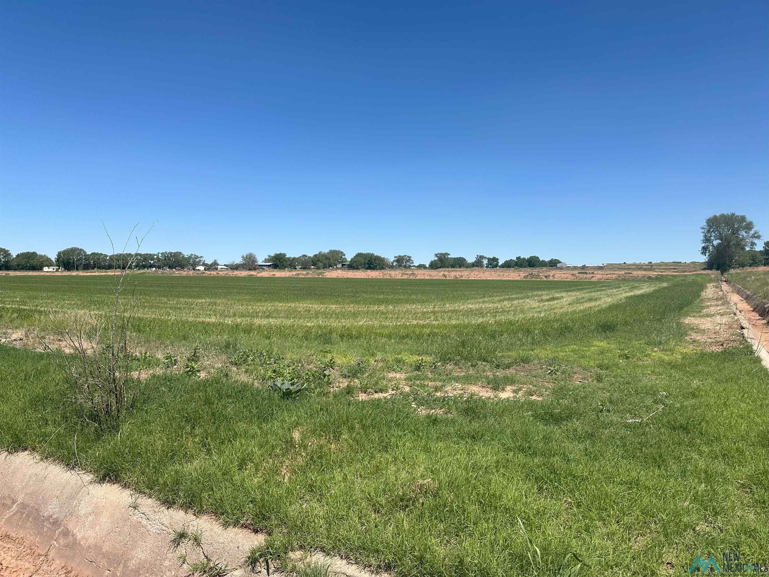 Pecan Street, Fort Sumner, Texas image 15