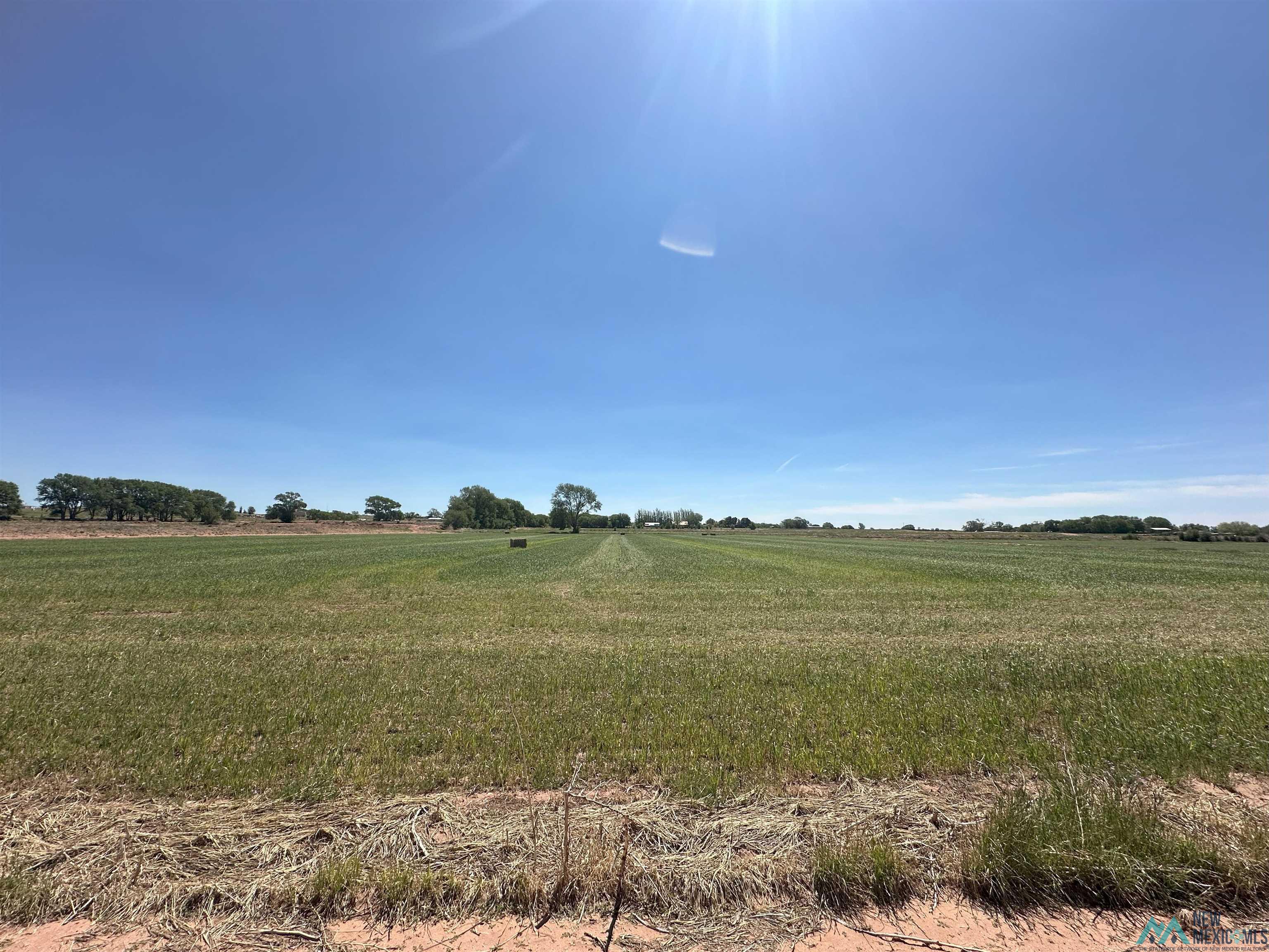 Pecan Street, Fort Sumner, Texas image 11