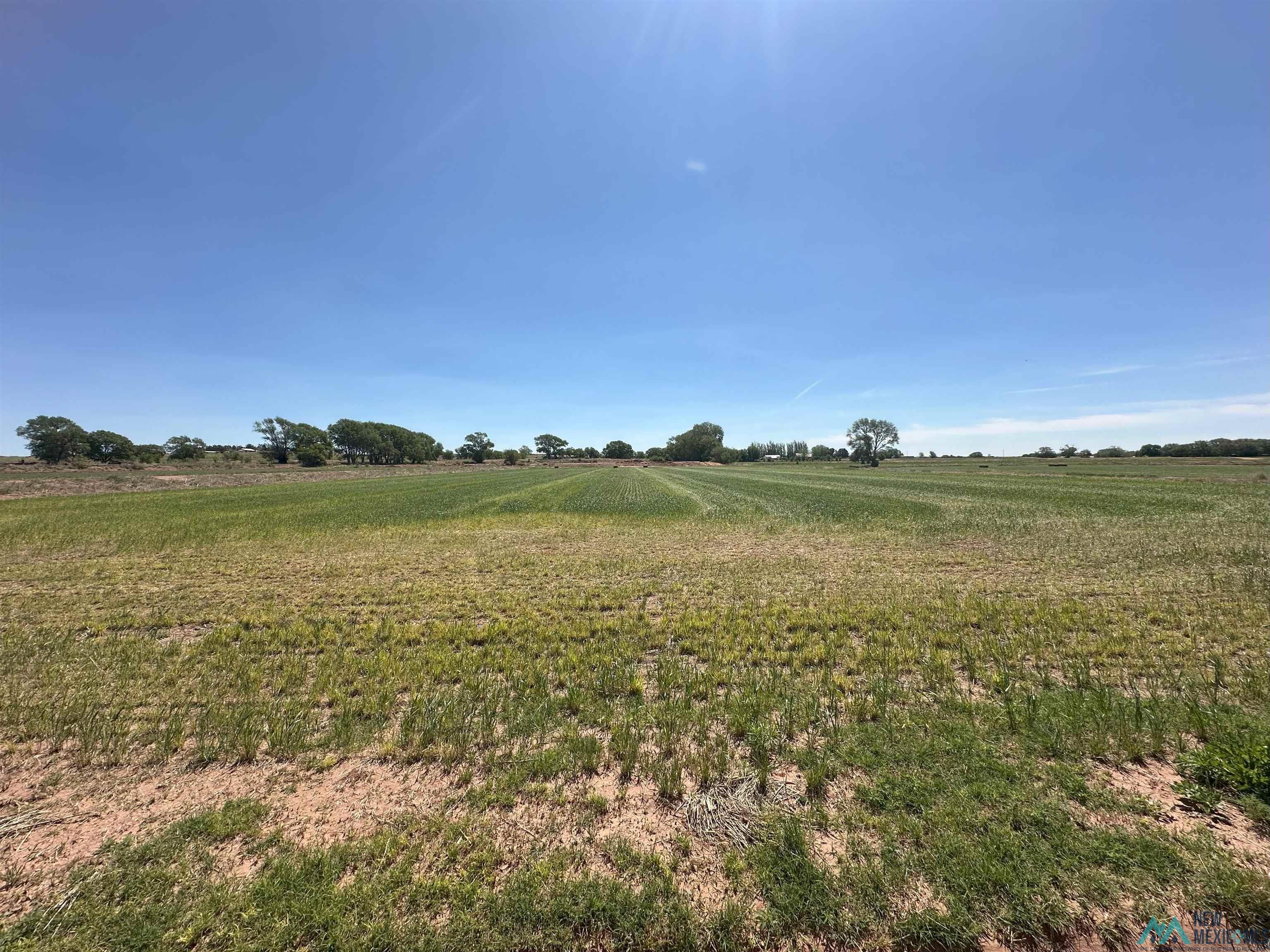 Pecan Street, Fort Sumner, Texas image 10
