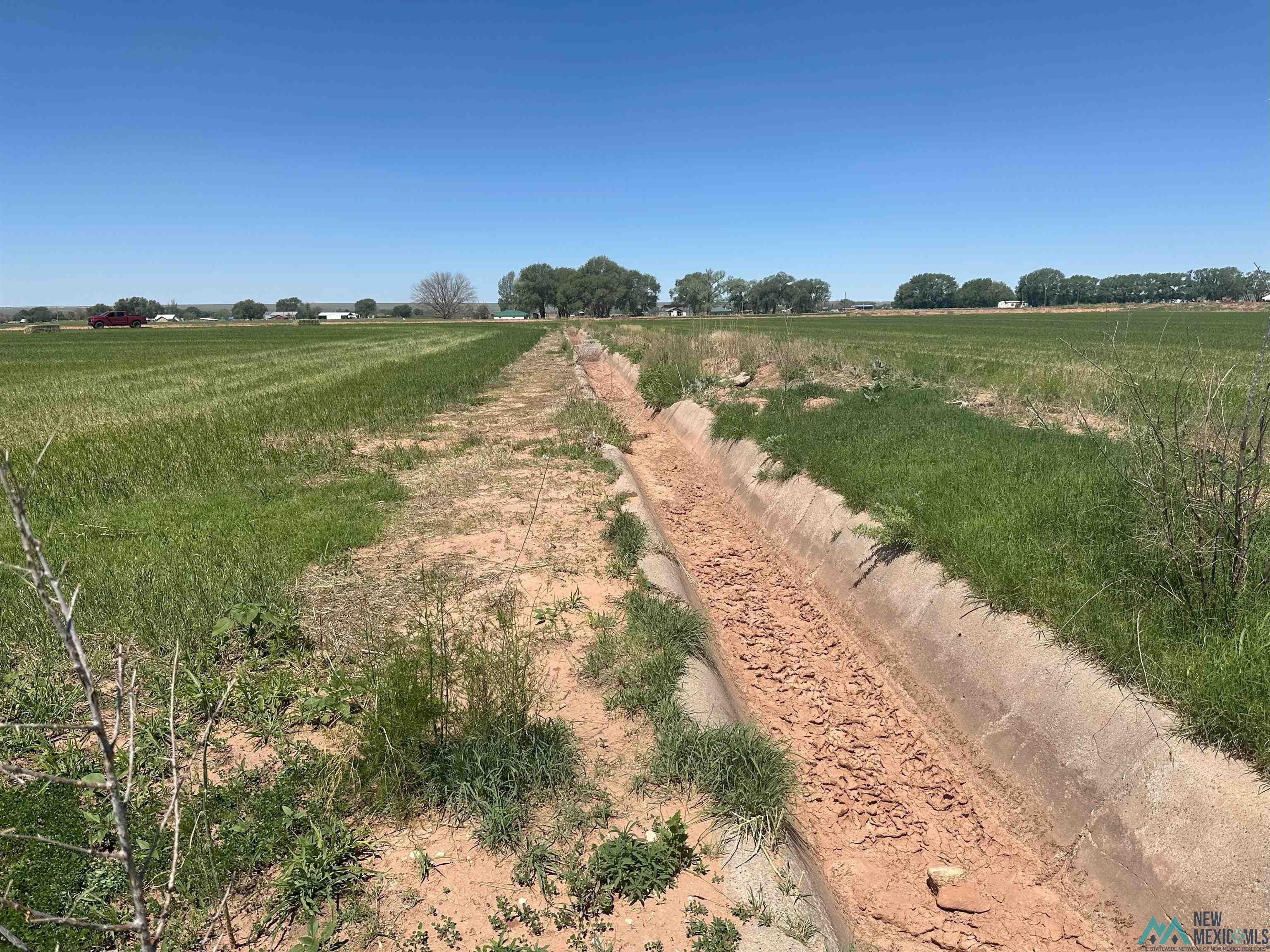 Pecan Street, Fort Sumner, Texas image 16
