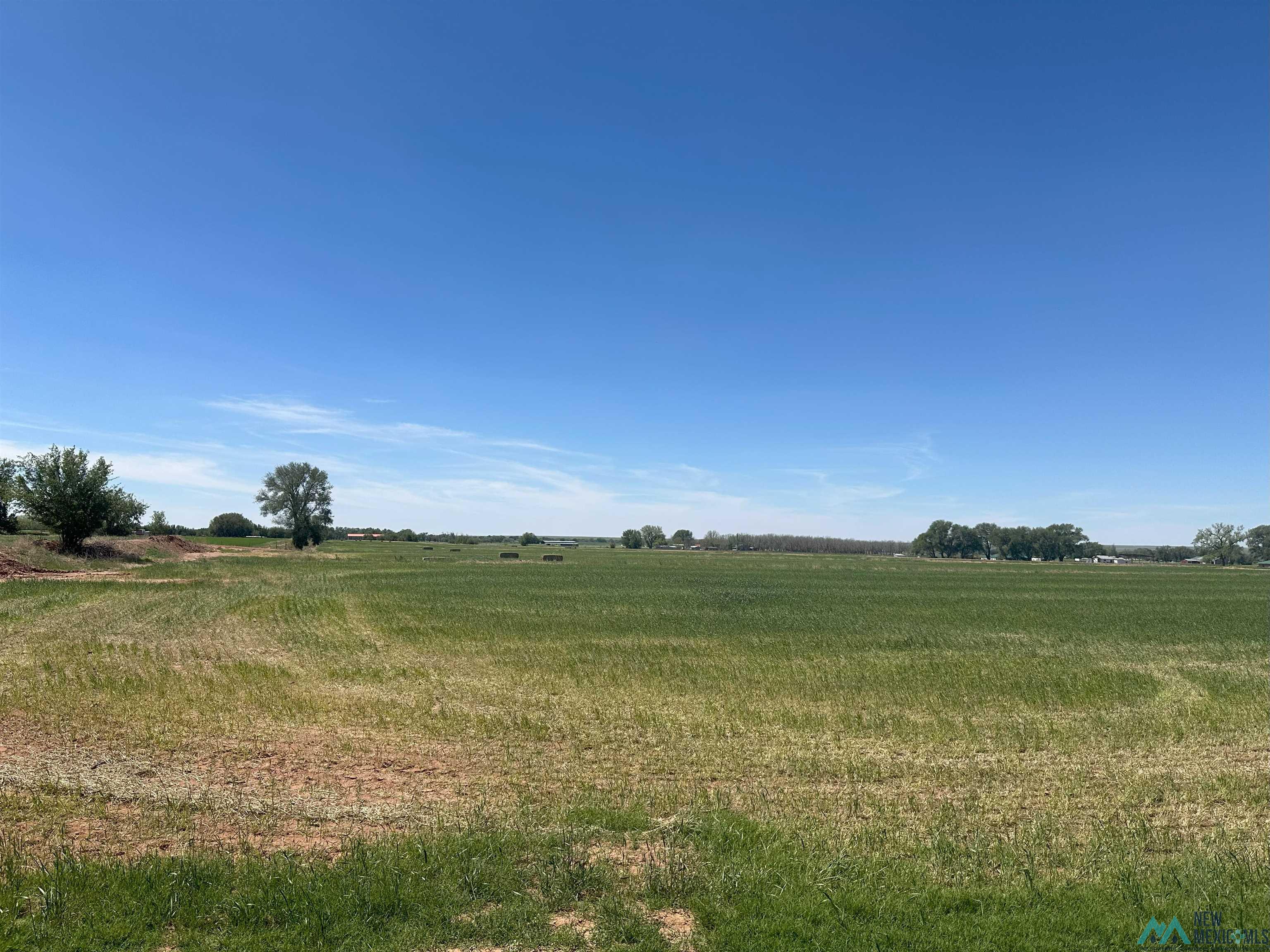 Pecan Street, Fort Sumner, Texas image 6