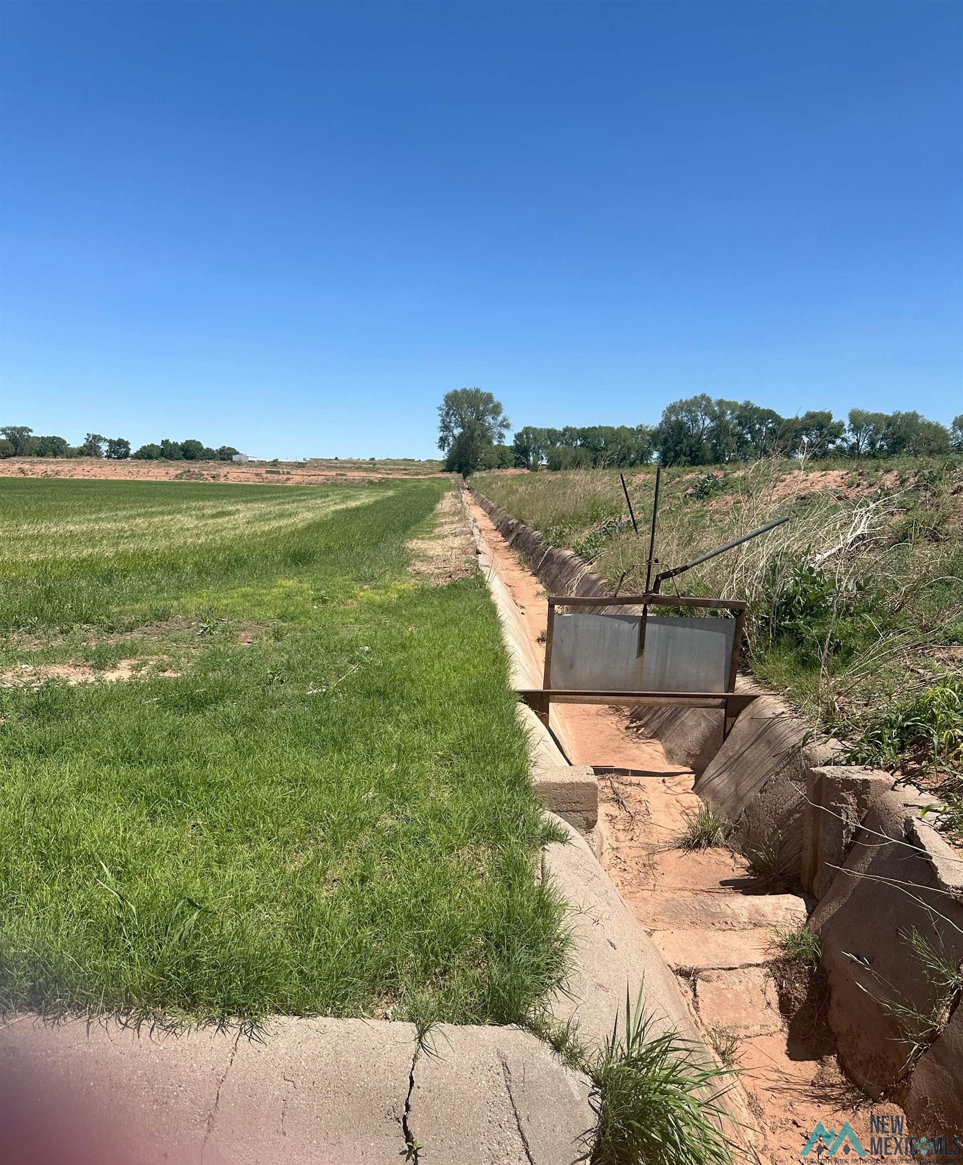 Pecan Street, Fort Sumner, Texas image 14